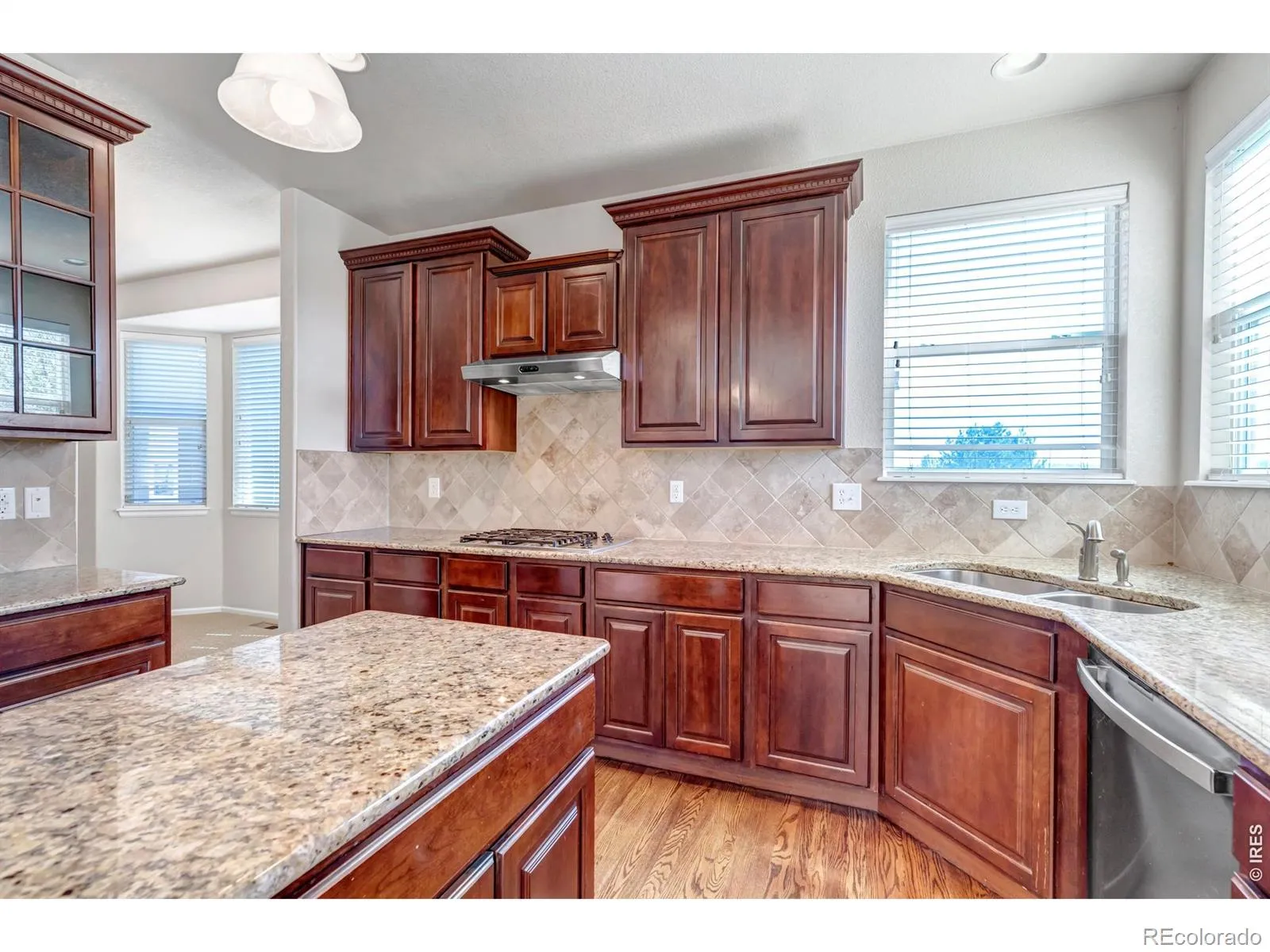 17016 Pale Anemone Street Parker CO 80134 MLS #REC4039356 04252026152106 1600 14