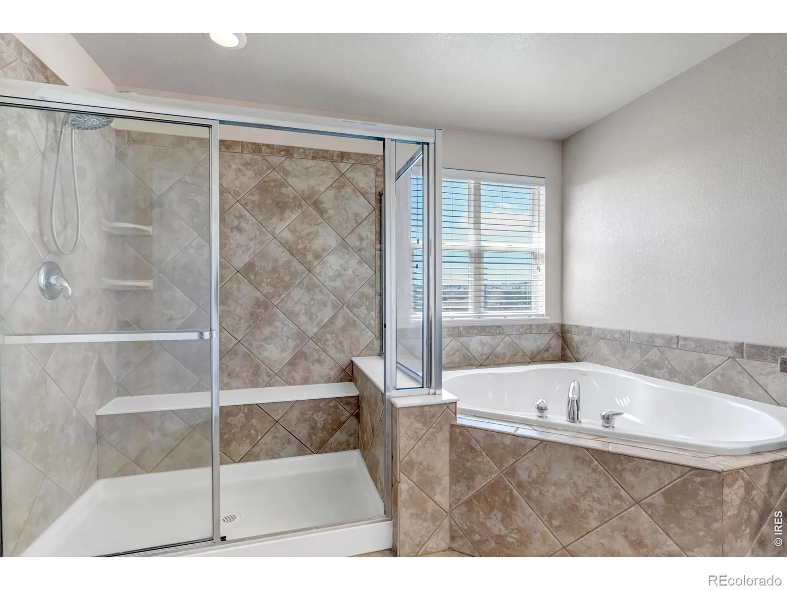 17016 Pale Anemone Street Parker CO 80134 MLS #REC4039356 04252026152106 1600 23