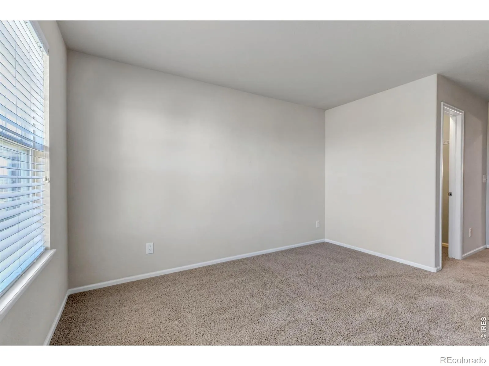 17016 Pale Anemone Street Parker CO 80134 MLS #REC4039356 04252026152106 1600 29