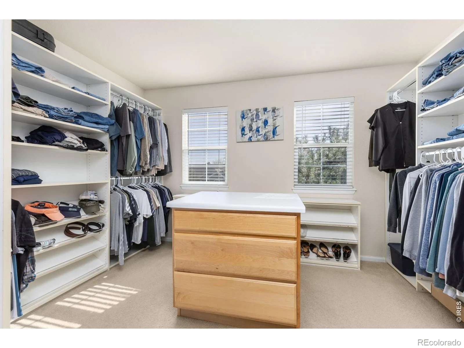 11721 Beasly Road Longmont CO 80504 | MLS #RECIR1057513 07292026002532 1600 26