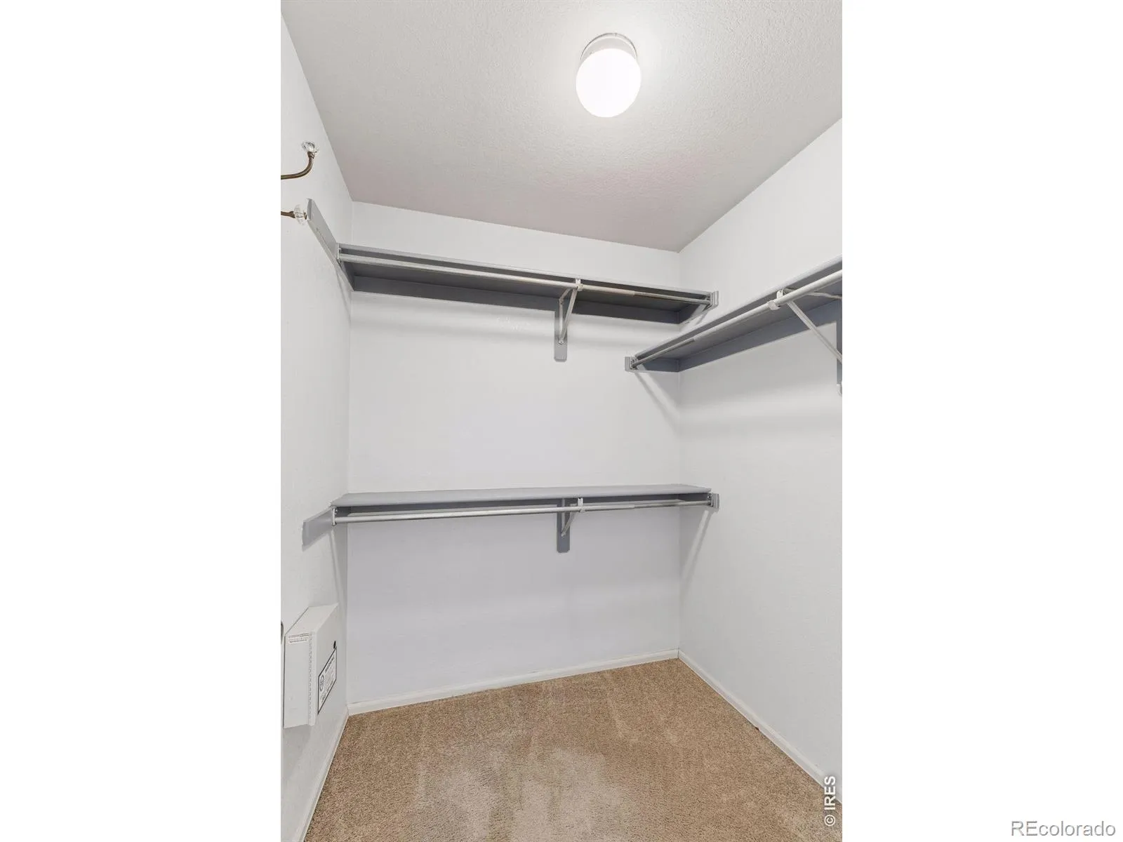 1421 Sorrel Court Longmont CO 80504 MLS #RECIR1057567 04272026190832 1600 24