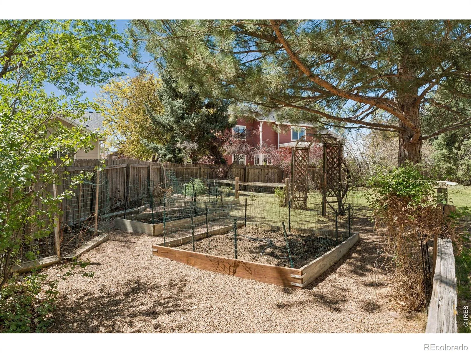 1421 Sorrel Court Longmont CO 80504 MLS #RECIR1057567 04272026190832 1600 36