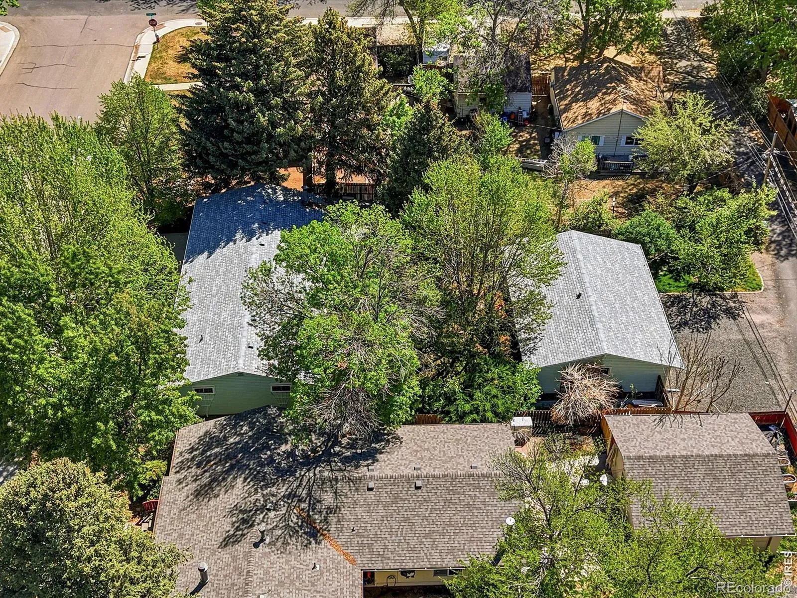 1413 Sharpe Place Longmont CO 80501 MLS #RECIR1057645 04282026202025 1600 30