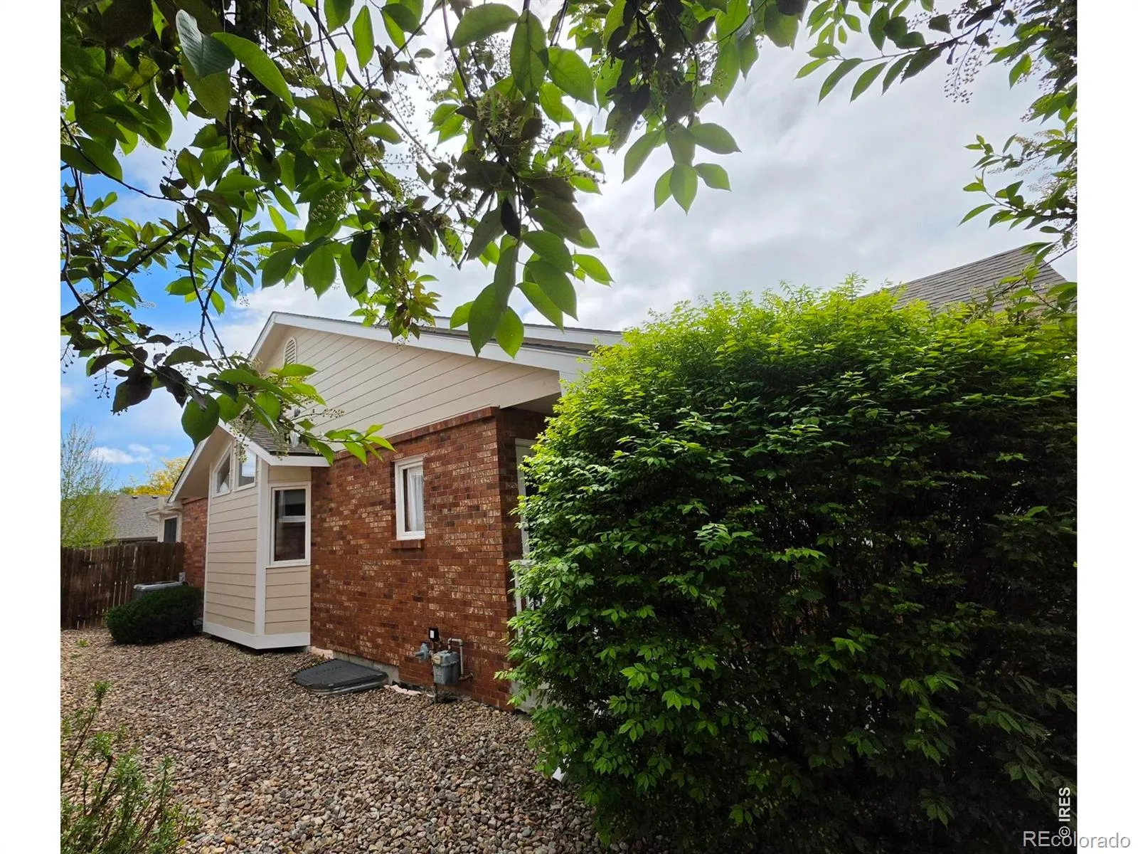 1526 Tulip Court Longmont CO 80501 MLS #RECIR1057894 04302026212403 1600 3
