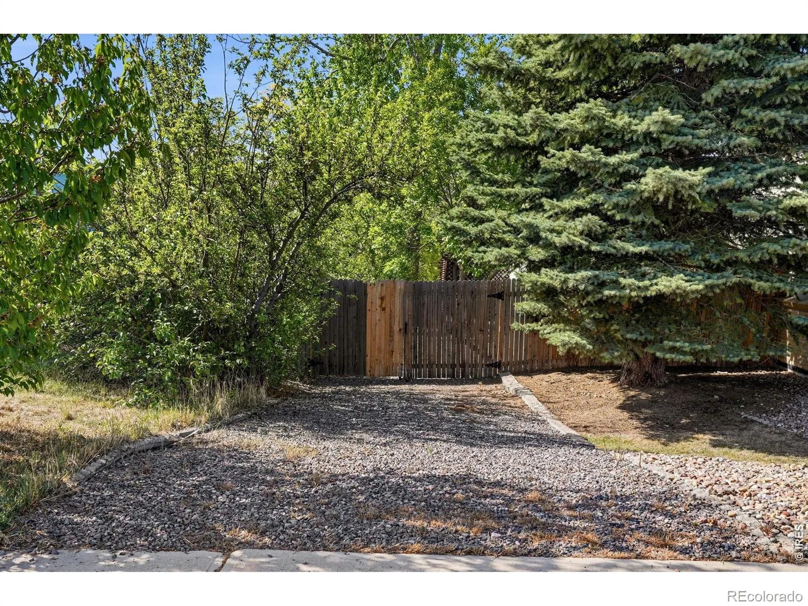 8966 Wagner Lane Westminster CO 80031 MLS #RECIR1057903 05052026044500 1600 37