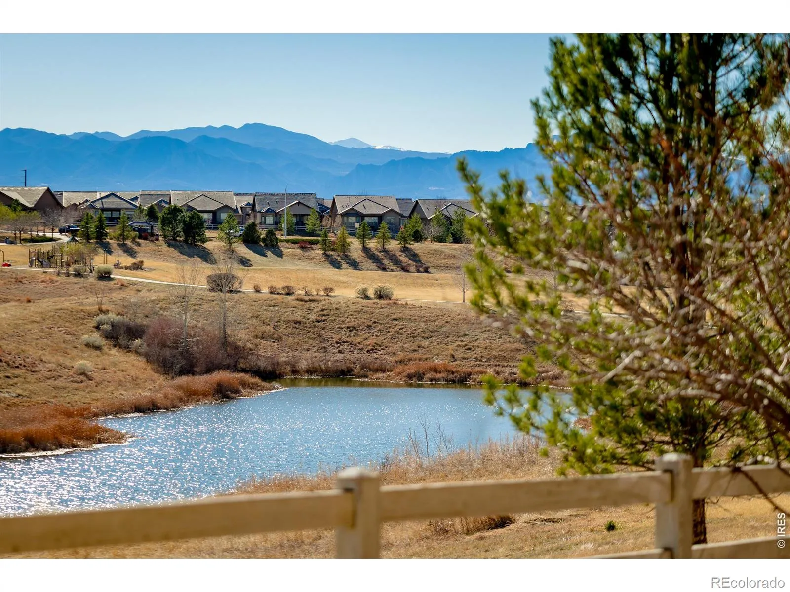3446 Yale Drive Broomfield CO 80023 MLS #RECIR1057918 04302026224851 1600 1