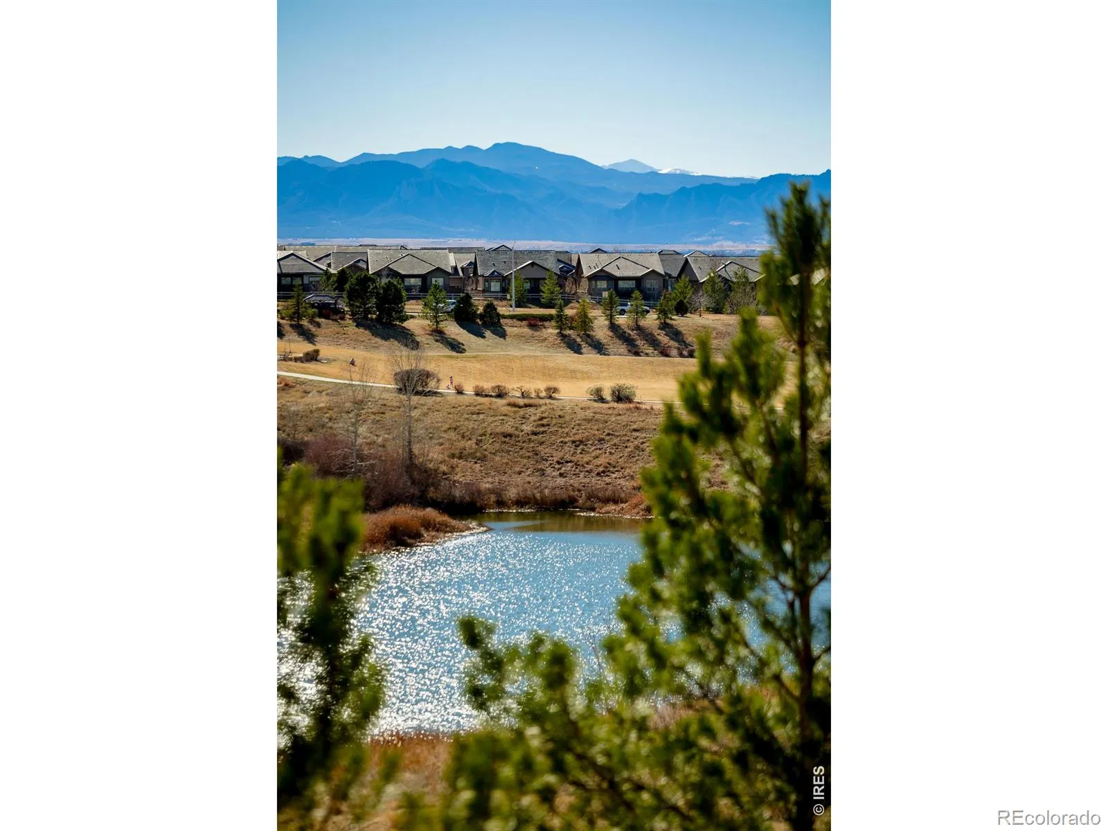 3446 Yale Drive Broomfield CO 80023 MLS #RECIR1057918 04302026224851 1600 41