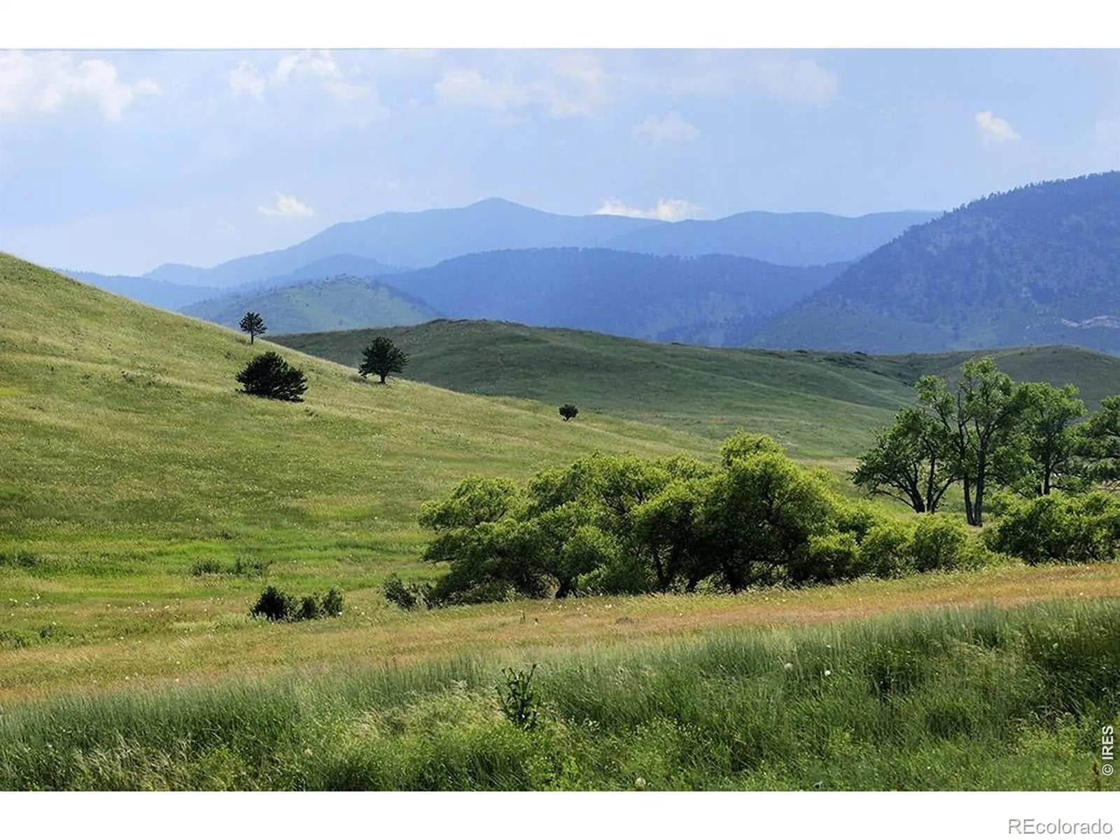 16682 W 86th Drive Arvada CO 80007 MLS #RECIR1058081 05092026021656 1600 44