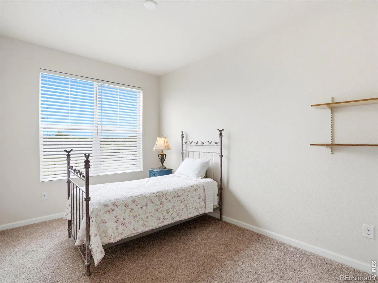 132 Ambrose Street Erie CO 80516 | MLS #RECIR1058123 05032026001613 1600 17
