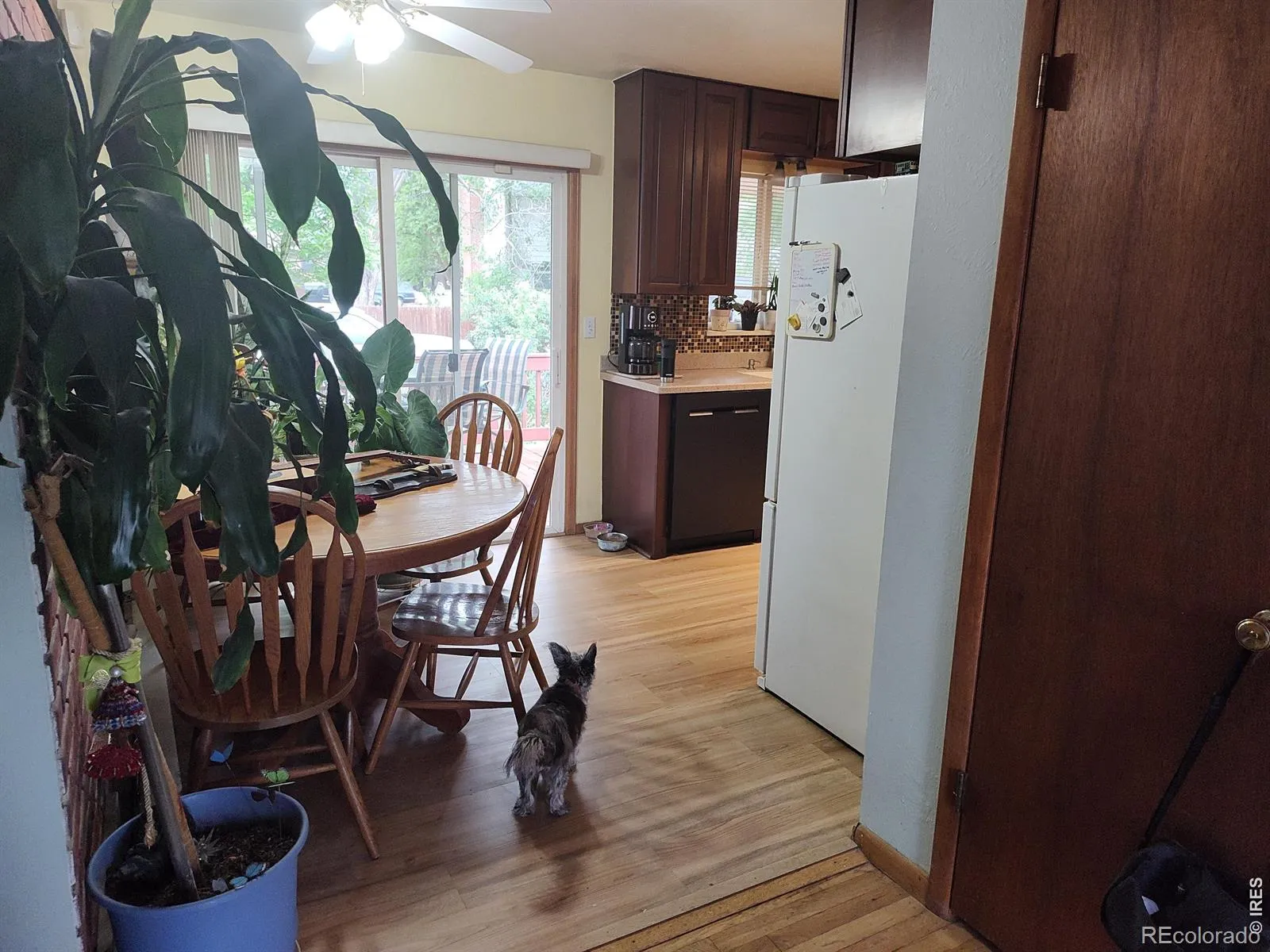 2 Forsyth Drive Longmont CO 80504 MLS #RECIR1058129 05052026193507 1600 17