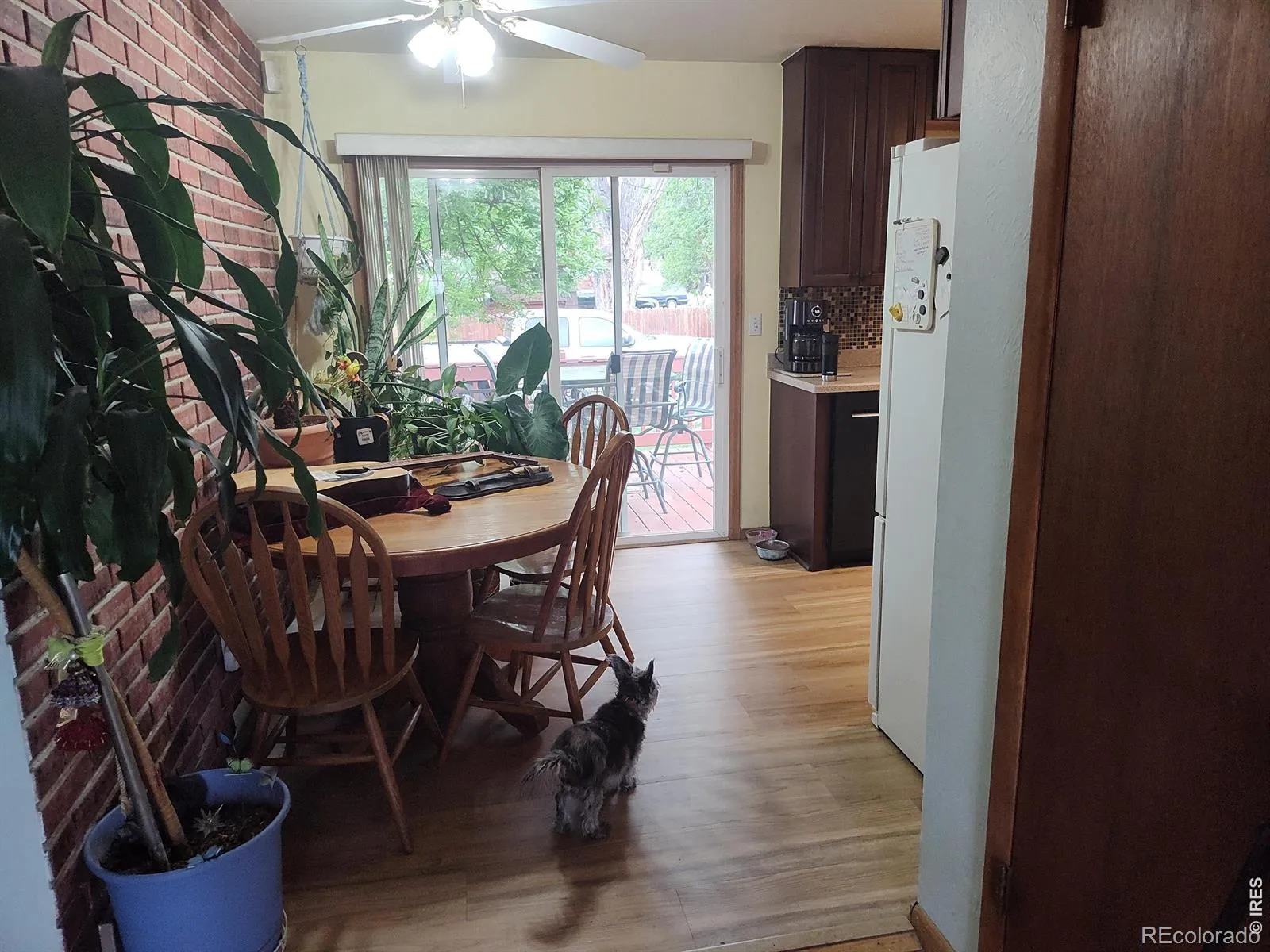 2 Forsyth Drive Longmont CO 80504 MLS #RECIR1058129 05052026193507 1600 18