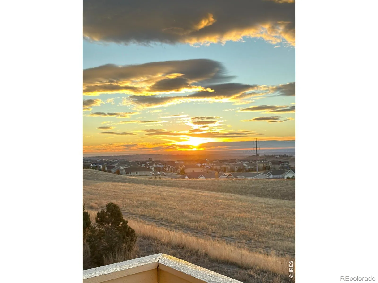 18220 W 85th Drive Arvada CO 80007 MLS #RECIR1058144 05102026094420 1600 3