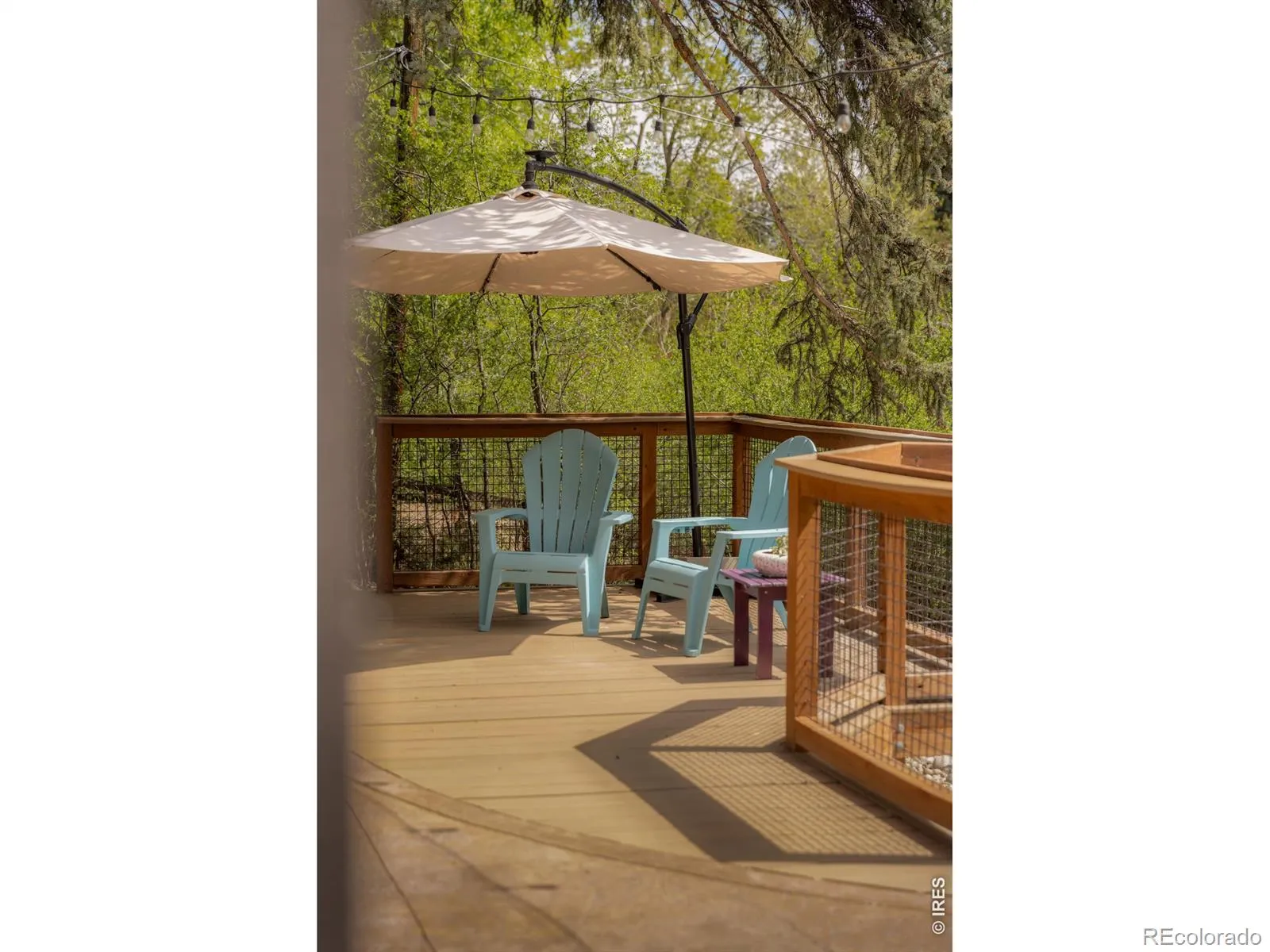 430 Cody Drive Lakewood CO 80226 MLS #RECIR1058341 05082026060432 1600 25