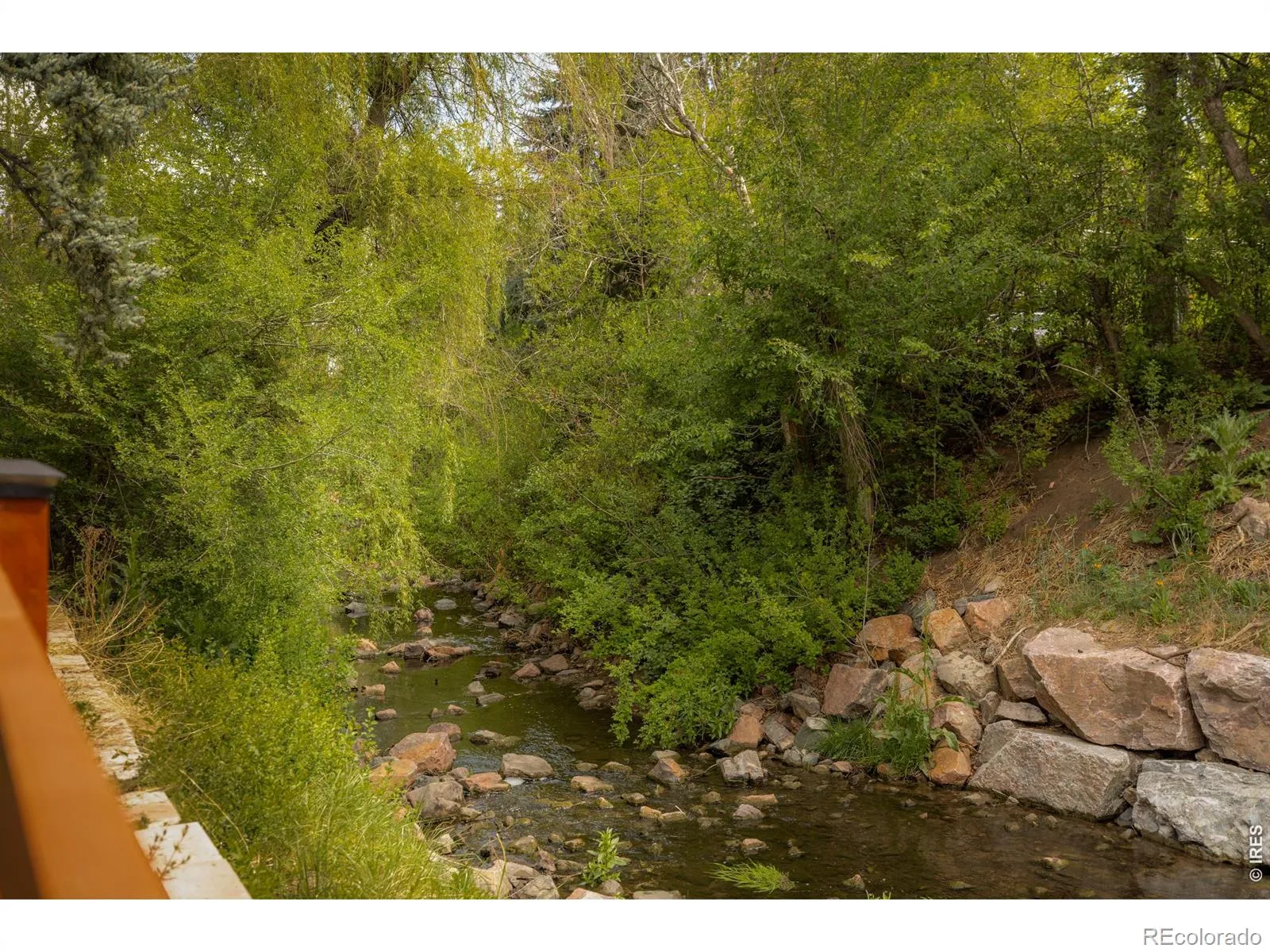 430 Cody Drive Lakewood CO 80226 MLS #RECIR1058341 05082026060432 1600 30