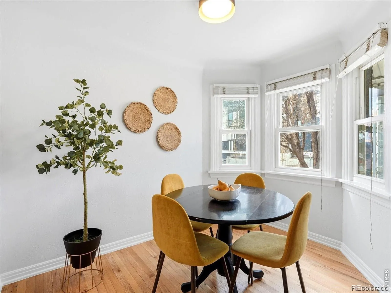 2924 Zenobia Street Denver CO 80212 MLS #RECIR1058398 05072026040224 1600 9