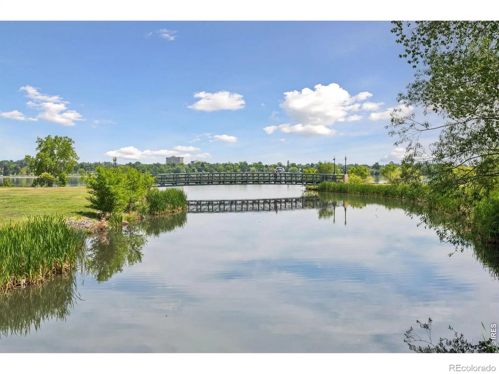 3800 W 17th Avenue Denver CO 80204 MLS #RECIR1058482 05102026094629 1600 6