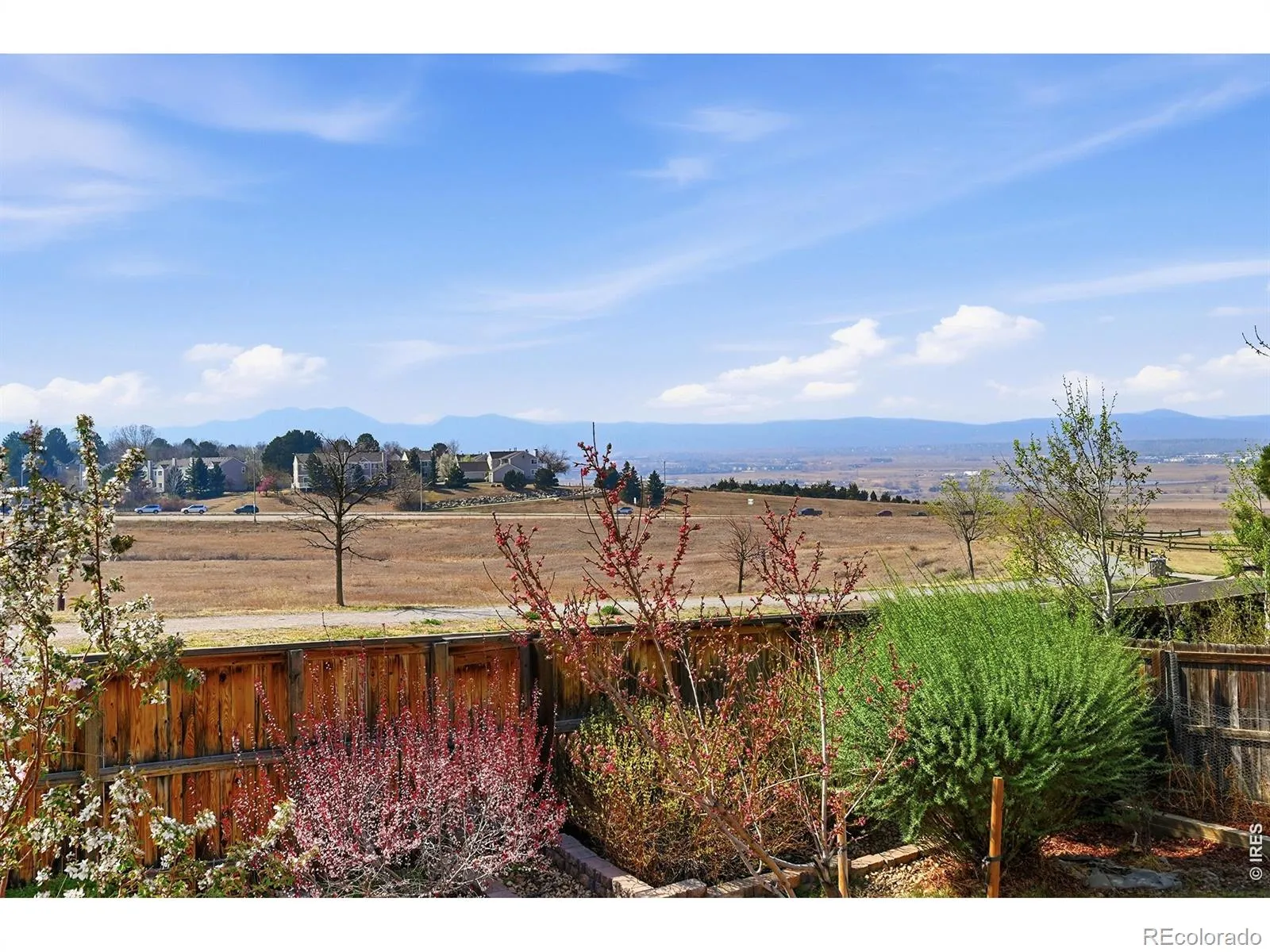 1425 W 12th Avenue Broomfield CO 80020 MLS #RECIR1058491 05102026094708 1600 14