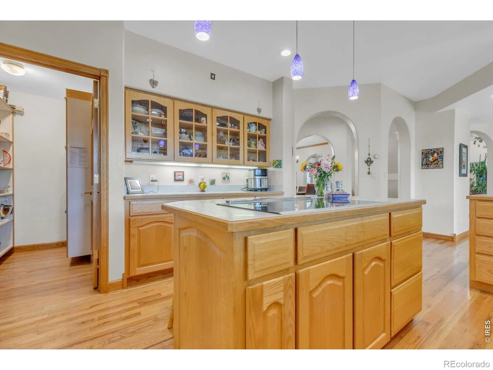 723 Ridge Creek Court Longmont CO 80504 MLS #RECIR1058509 05112026232647 1600 12