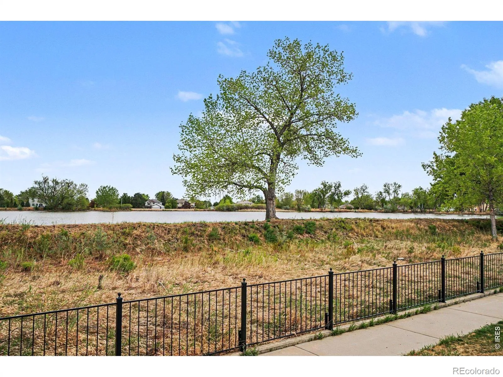 2952 Sonata Bay Court Longmont CO 80503 MLS #RECIR1058527 05102026094842 1600 31