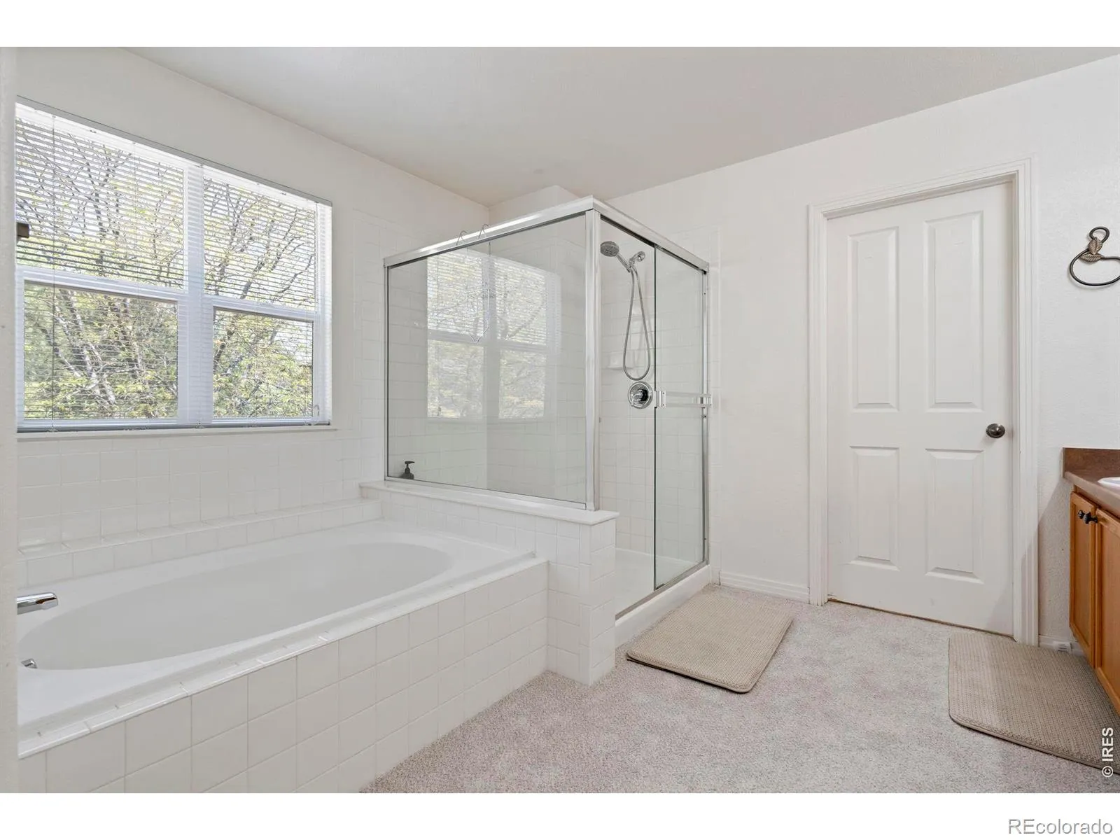 1526 Prairie Song Place Longmont CO 80504 MLS #RECIR1058634 05162026042208 1600 26