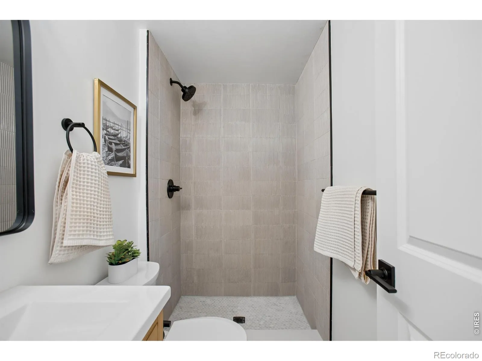 12 Baylor Drive Longmont CO 80503 MLS #RECIR1058685 05102026142514 1600 11