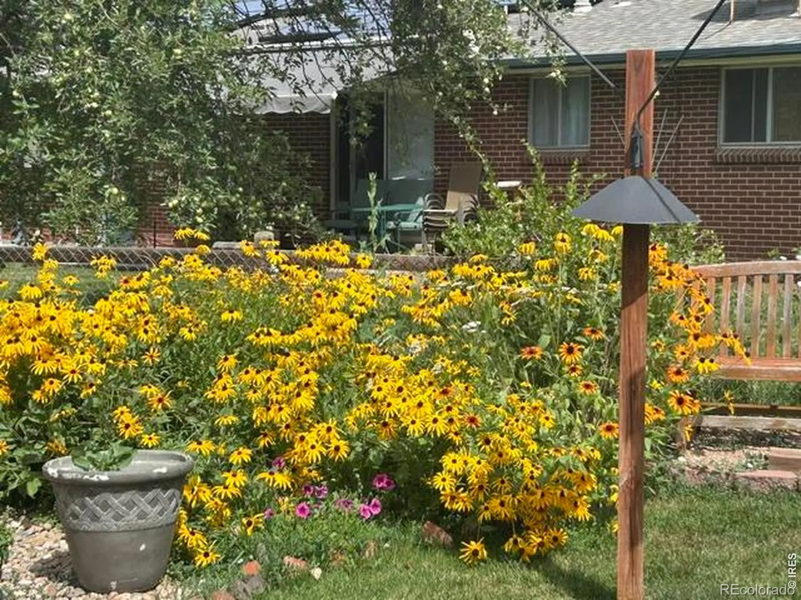 10933 W 67th Place Arvada CO 80004 MLS #RECIR1058816 05232026101254 1600 30