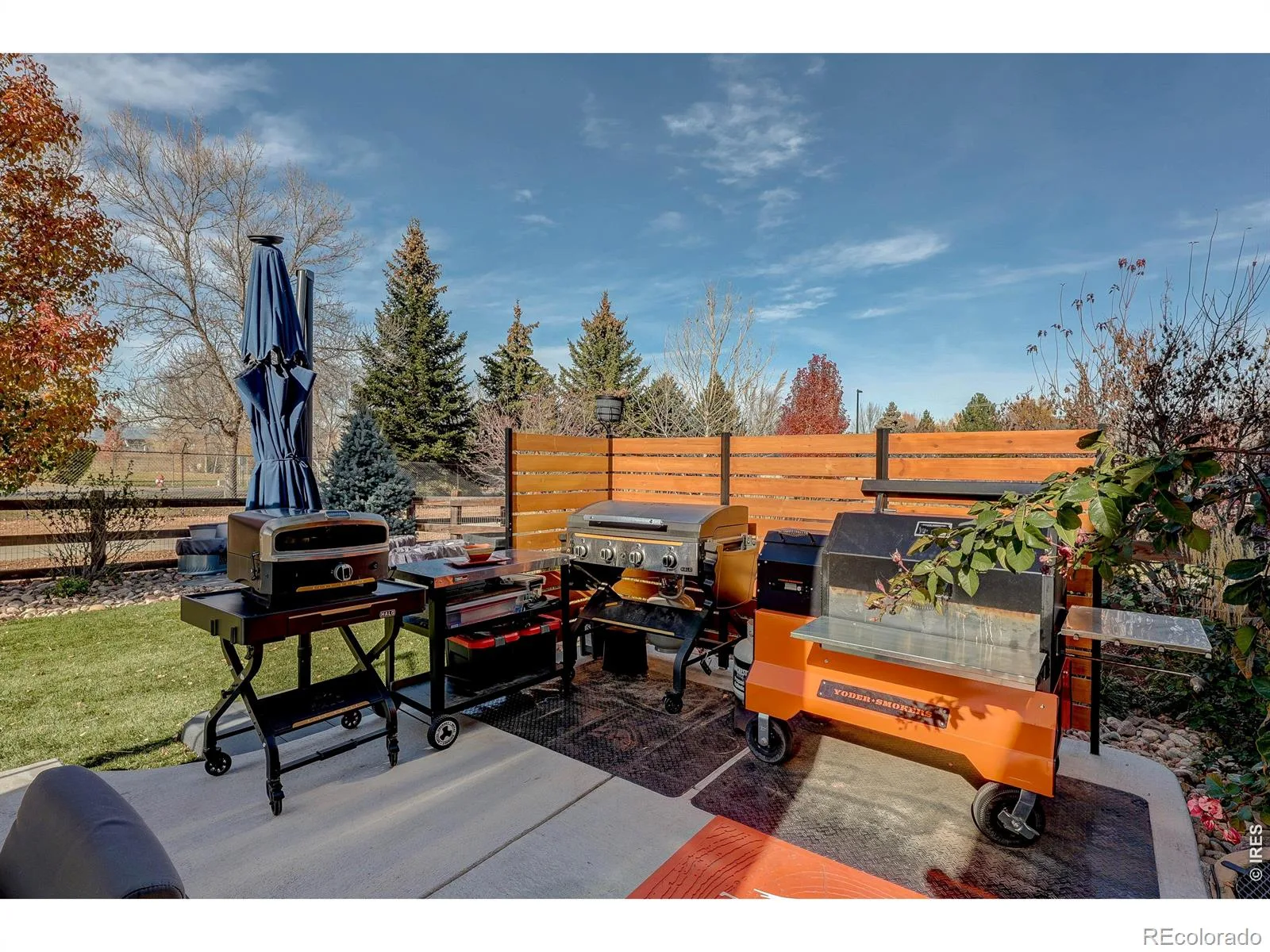 1032 Marfell Street Erie CO 80516 | MLS #RECIR1058933 08252026112302 1600 10