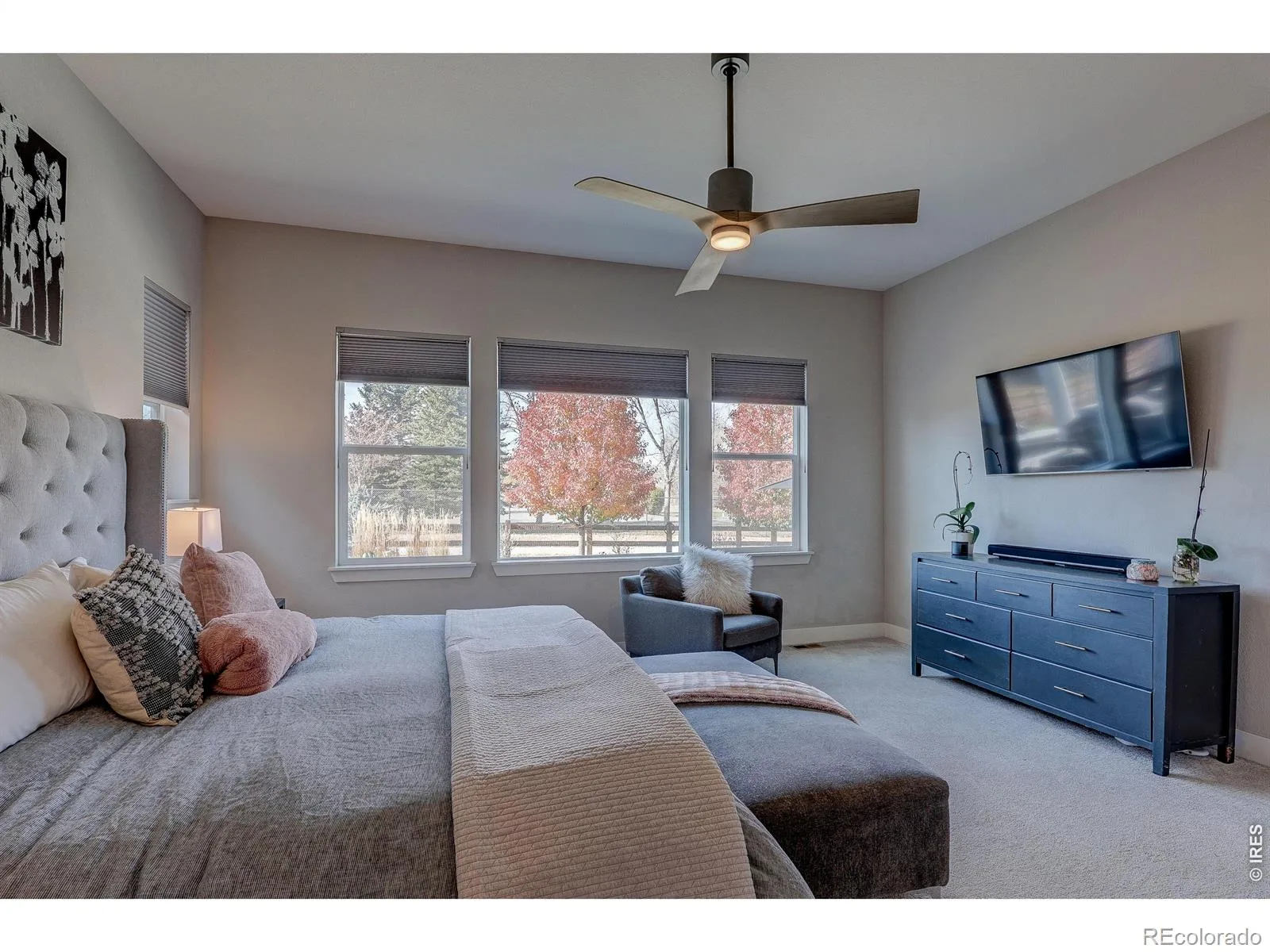 1032 Marfell Street Erie CO 80516 | MLS #RECIR1058933 08252026112302 1600 22