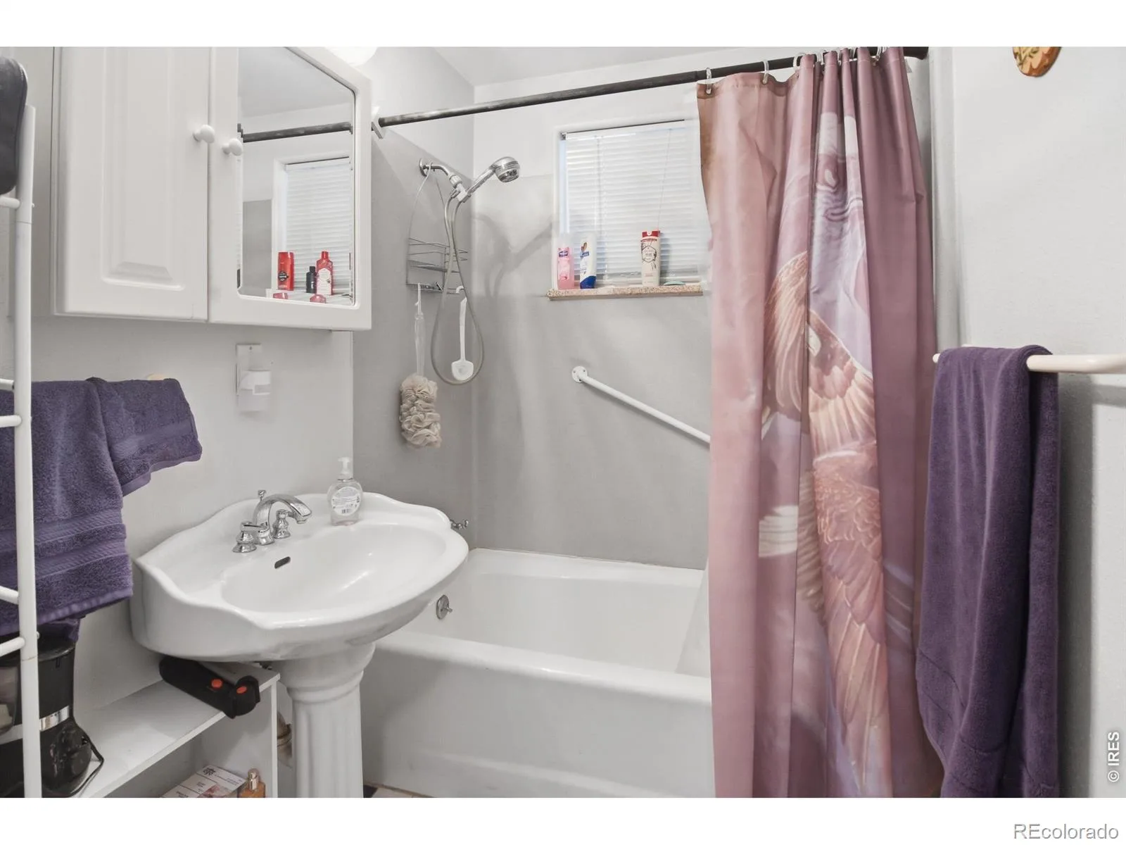 755 Joyce Street Golden CO 80401 | MLS #RECIR1058946 08292026001631 1600 9