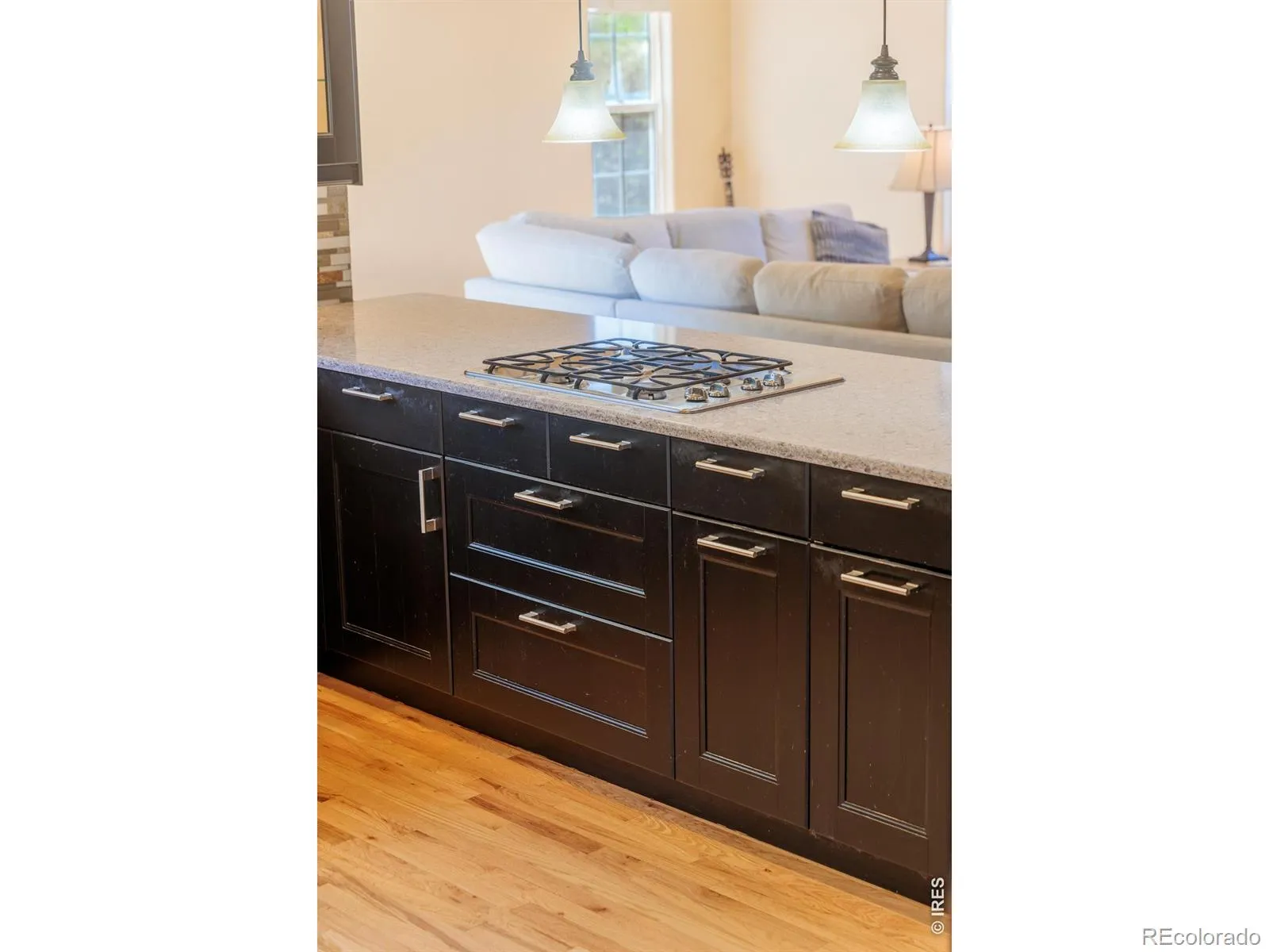 2513 Falcon Drive Longmont CO 80503 MLS #RECIR1059192 05152026203320 1600 19