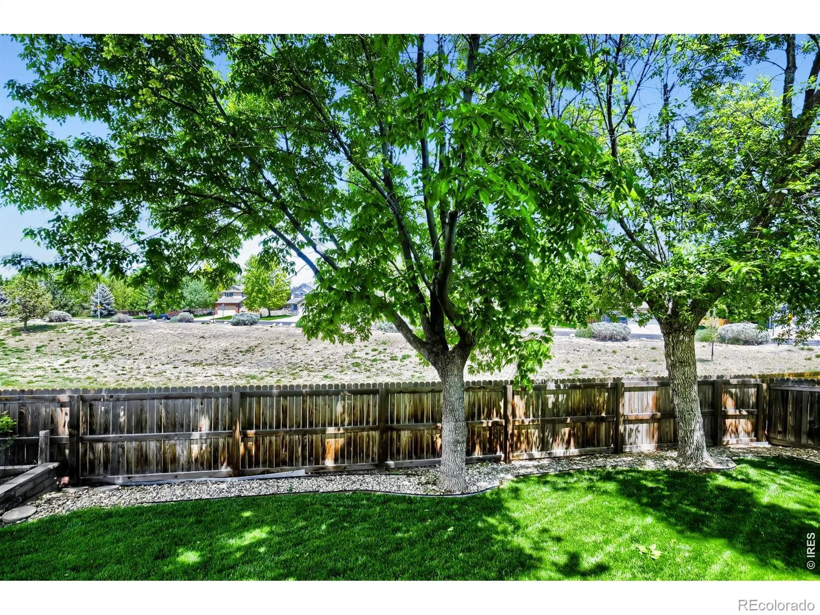 1512 Willowbrook Drive Longmont CO 80504 MLS #RECIR1059195 05152026203343 1600 24