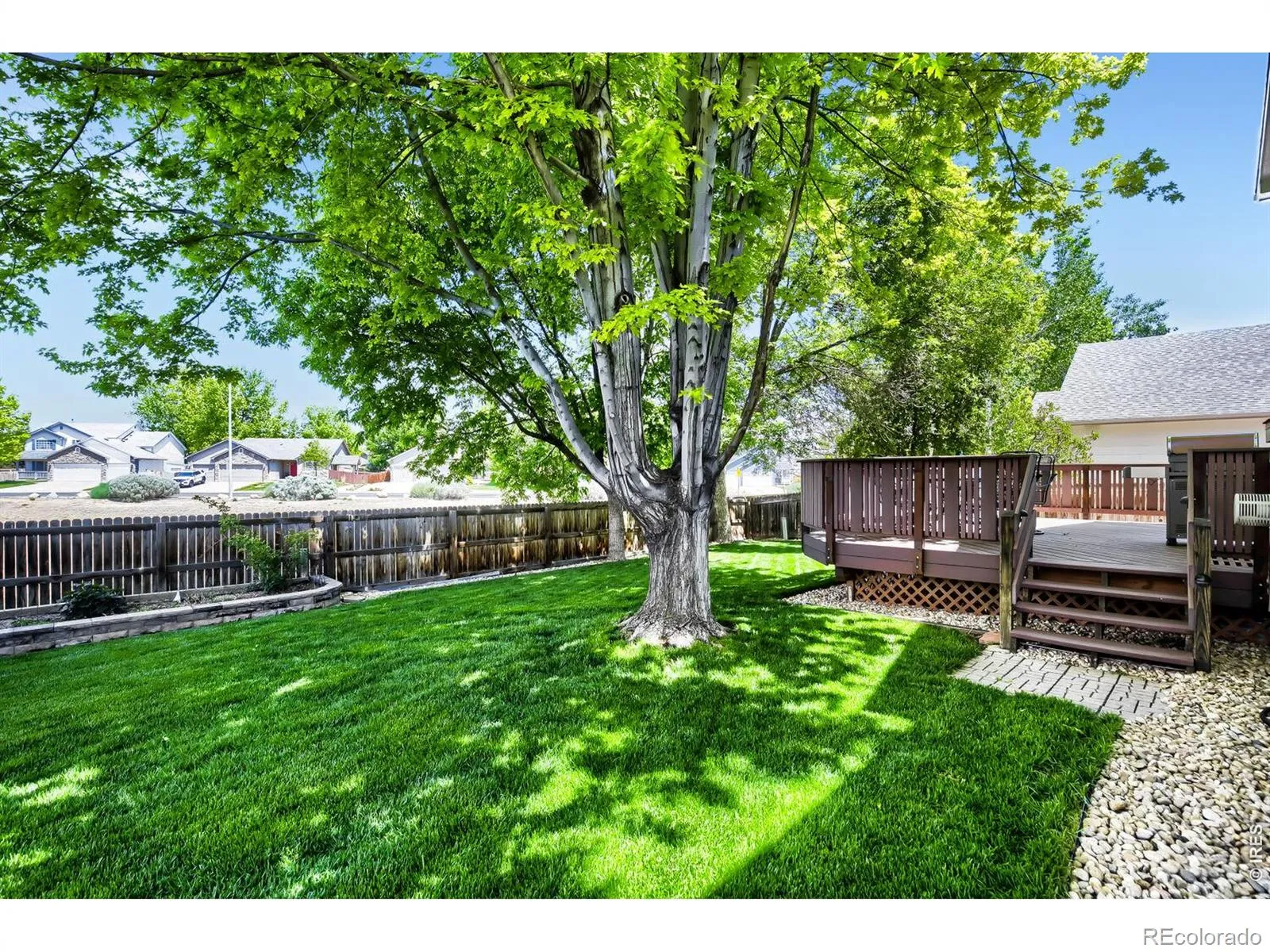 1512 Willowbrook Drive Longmont CO 80504 MLS #RECIR1059195 05152026203343 1600 26