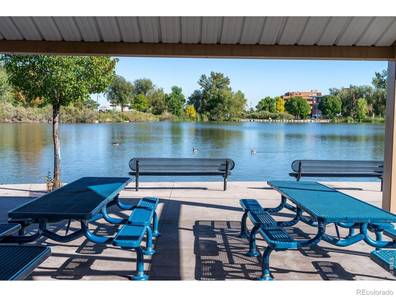 11590 Community Center Drive #44 Northglenn CO 80233 | MLS #RECIR1059210 05152026203522 1600 19
