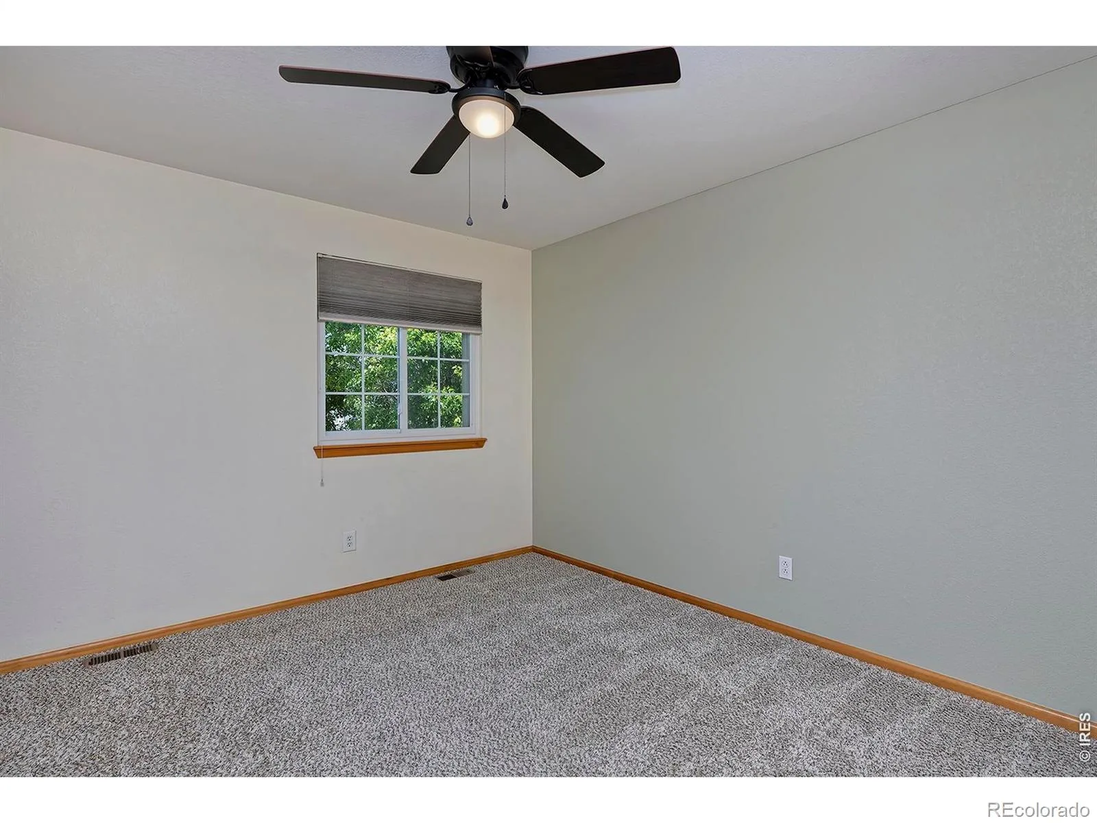 1188 W 111th Avenue Northglenn CO 80234 MLS #REC1620203 06252026214111 1600 31
