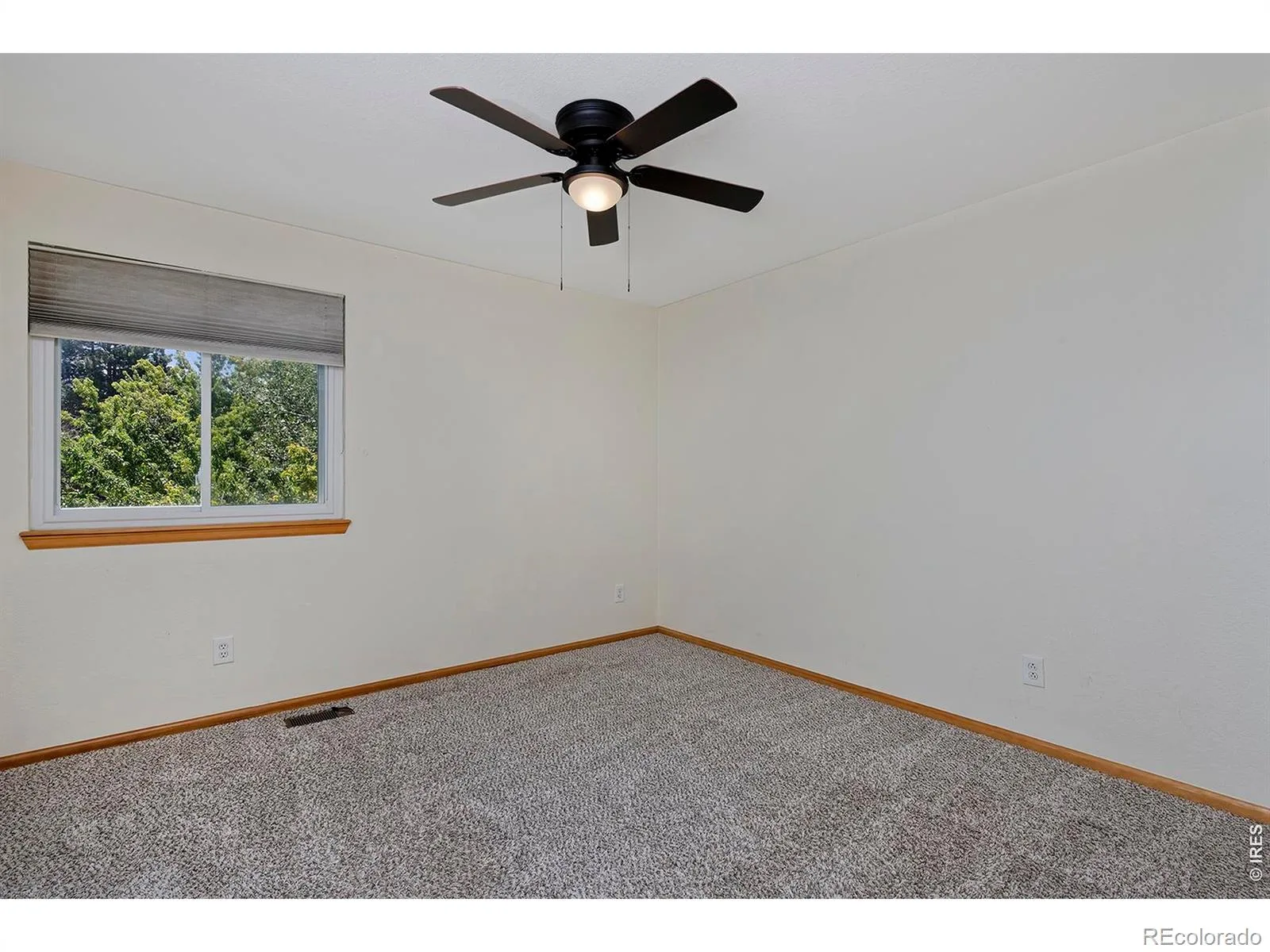 1188 W 111th Avenue Northglenn CO 80234 MLS #REC1620203 06252026214111 1600 38