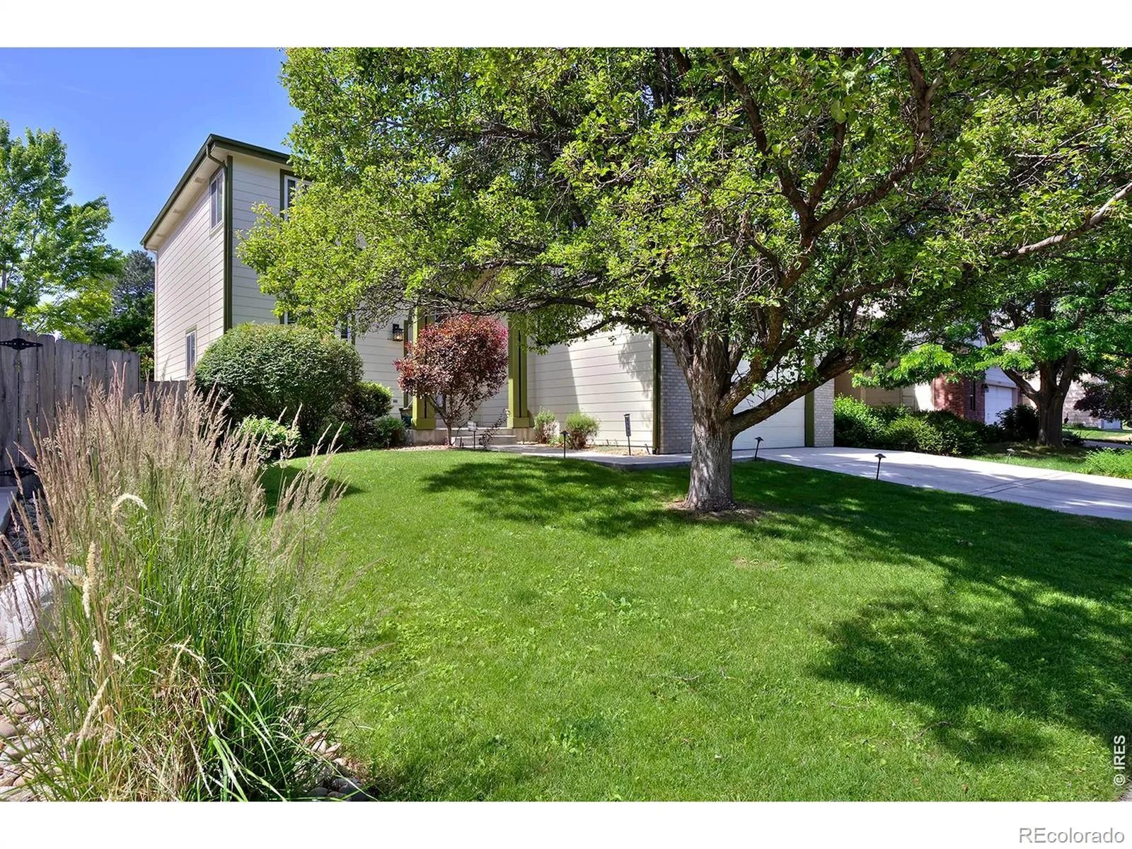 1188 W 111th Avenue Northglenn CO 80234 MLS #REC1620203 06252026214111 1600 49