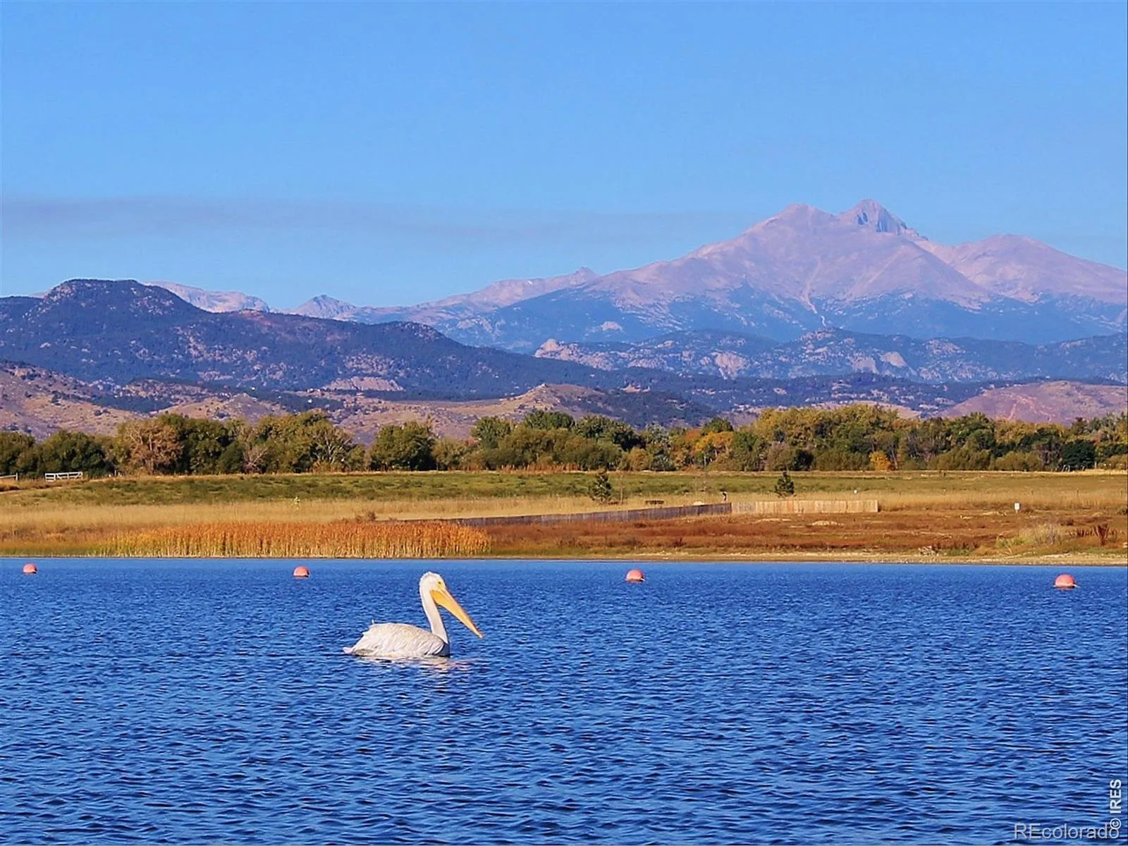2288 Spinnaker Circle Longmont CO 80503 MLS #RECIR1059494 05202026002044 1600 46