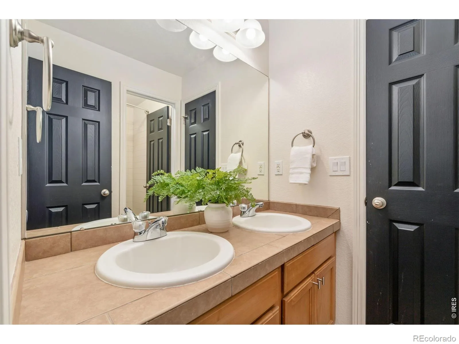 9053 Foxfire Street Firestone CO 80504 | MLS #RECIR1059572 07212026191959 1600 32