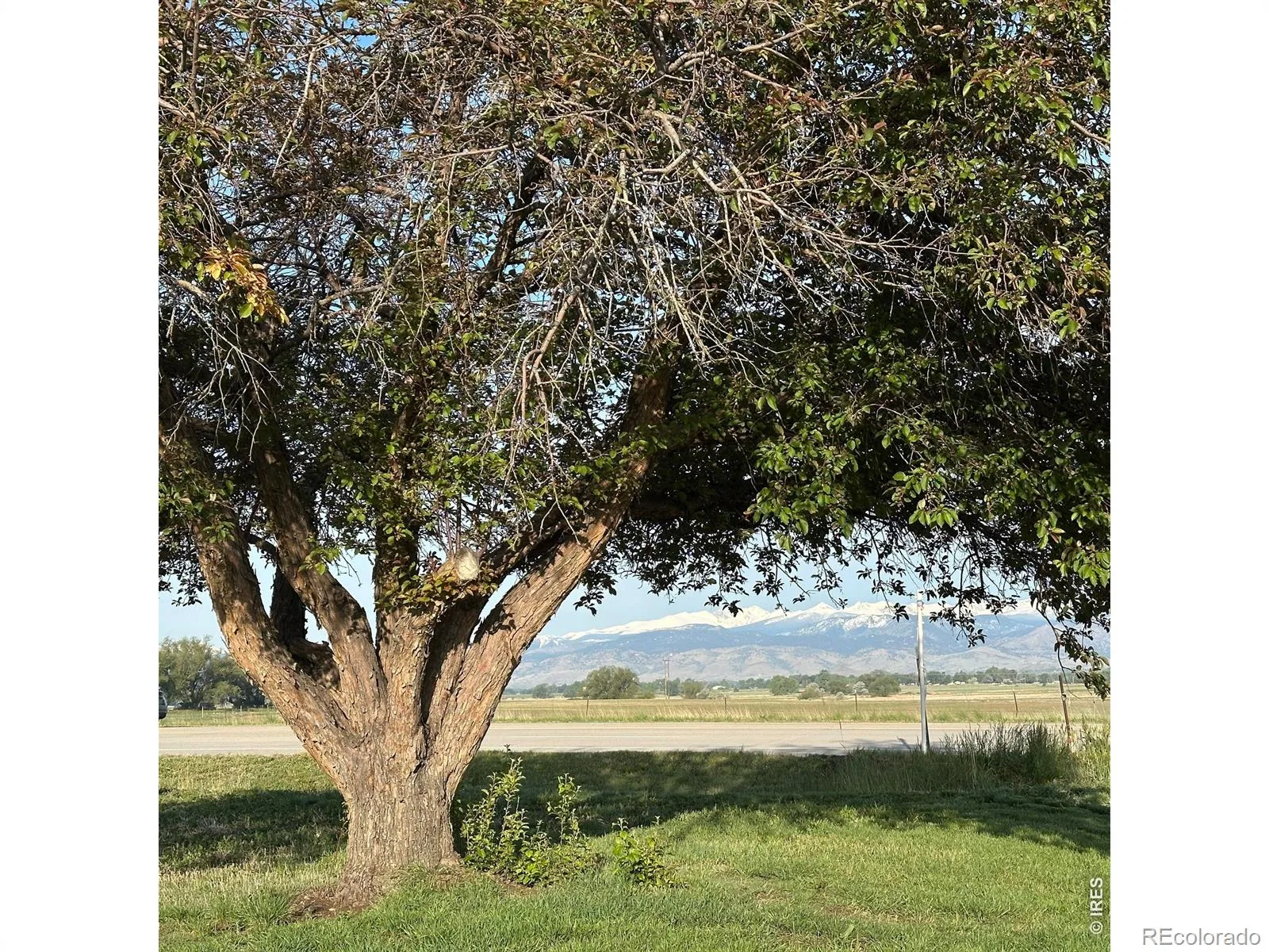 8502 N 107th Street Longmont CO 80504 | MLS #RECIR1059720 08122026205002 1600 2