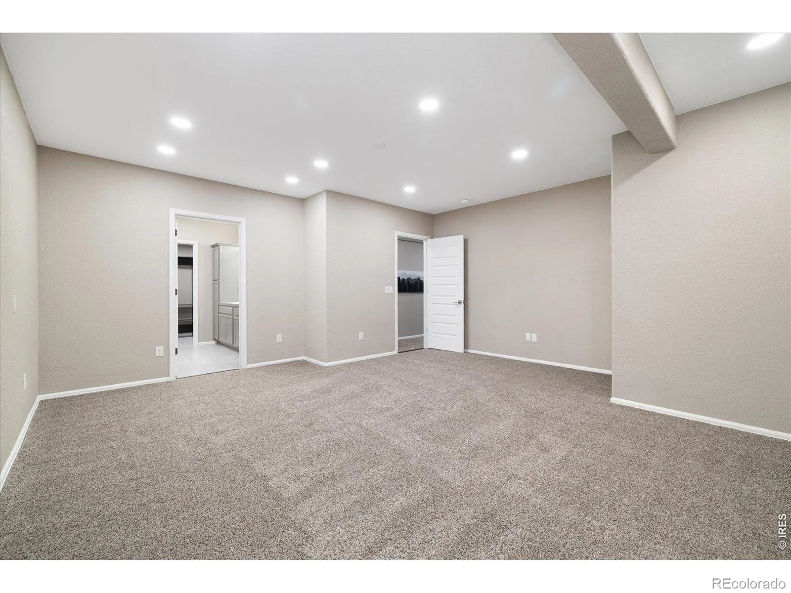 6725 Mentha Drive Castle Rock CO 80108 MLS #RECIR1059807 05232026101713 1600 28