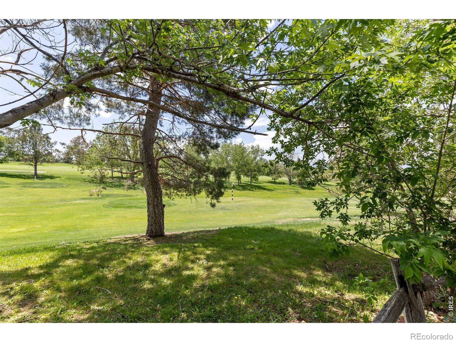 2235 W 118th Avenue Denver CO 80234 MLS #RECIR1060107 05292026181526 1600 33