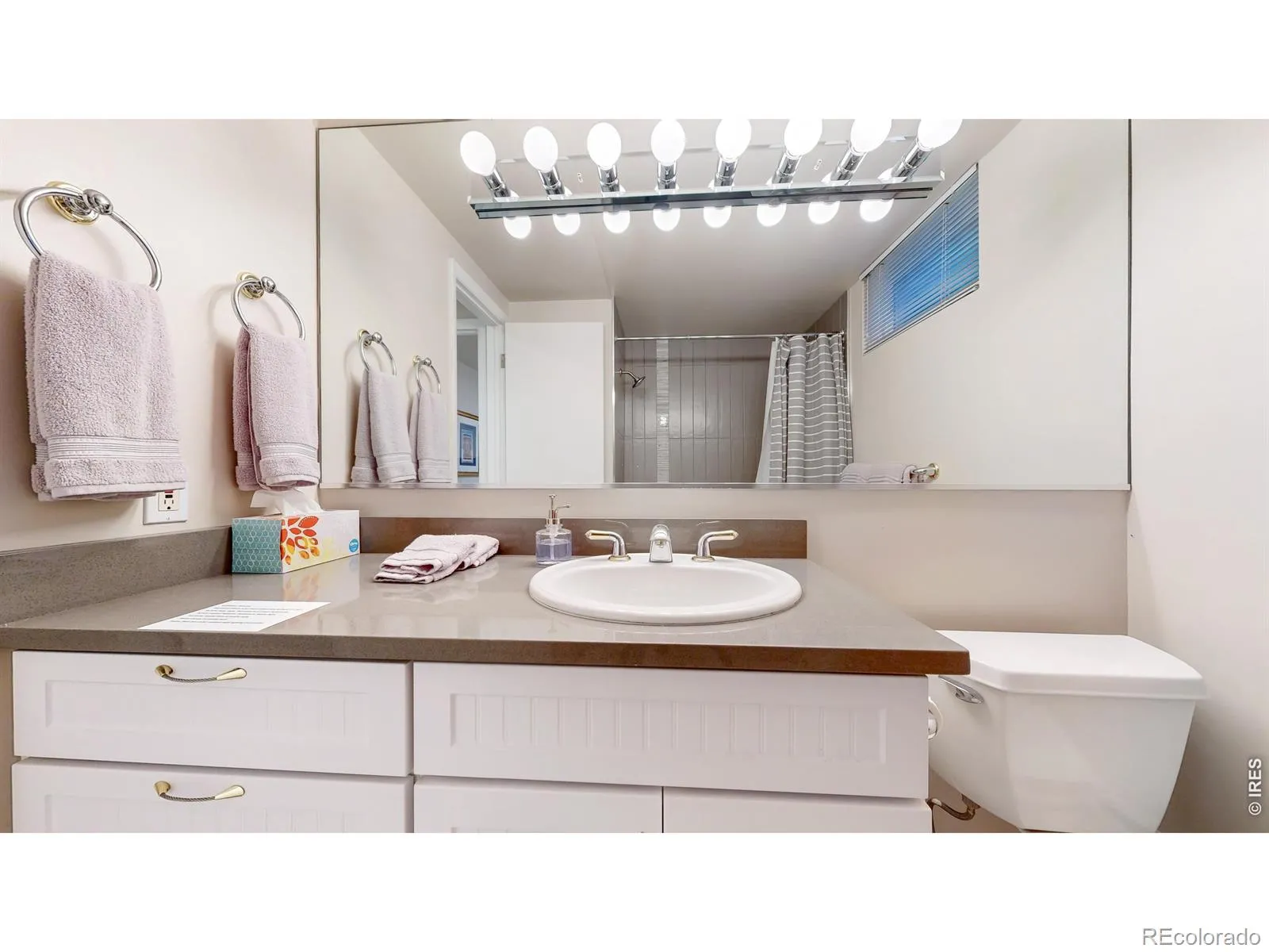 463 Locust Street Denver CO 80220 MLS #RECIR1060138 05282026023721 1600 43