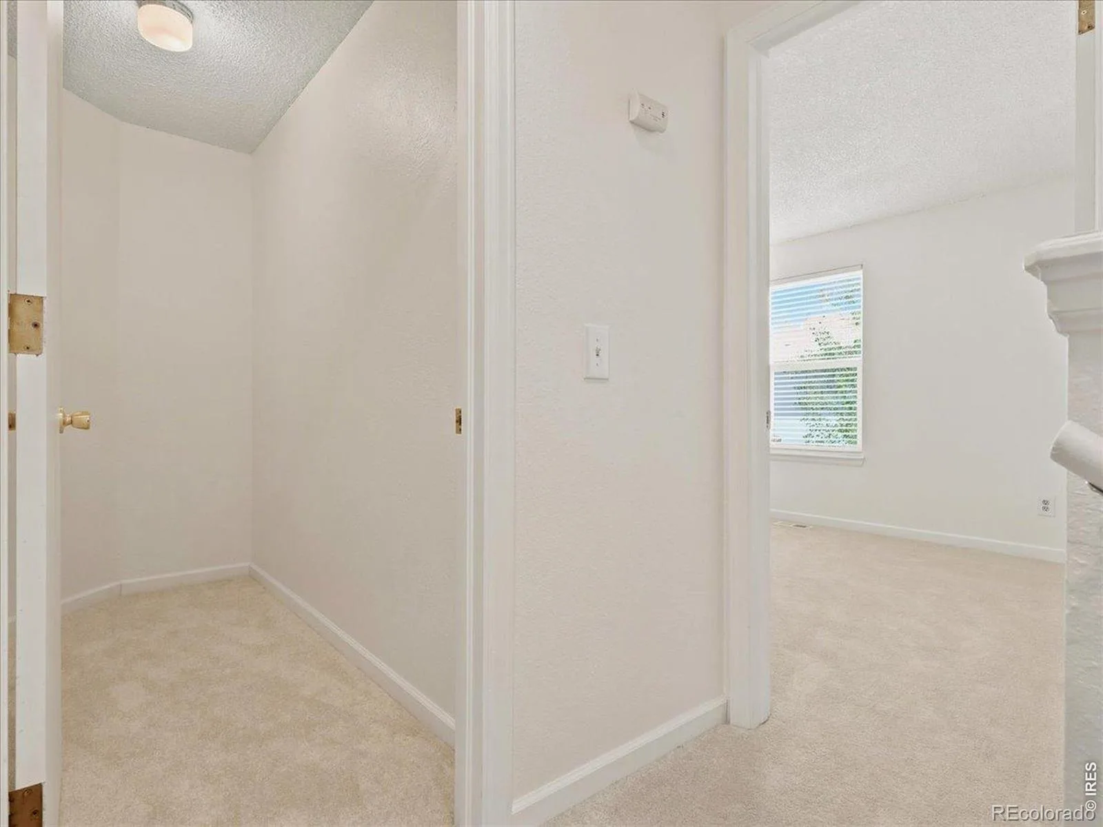 8248 Washington Street #98 Denver CO 80229 | MLS #RECIR1060281 08042026185811 1600 19