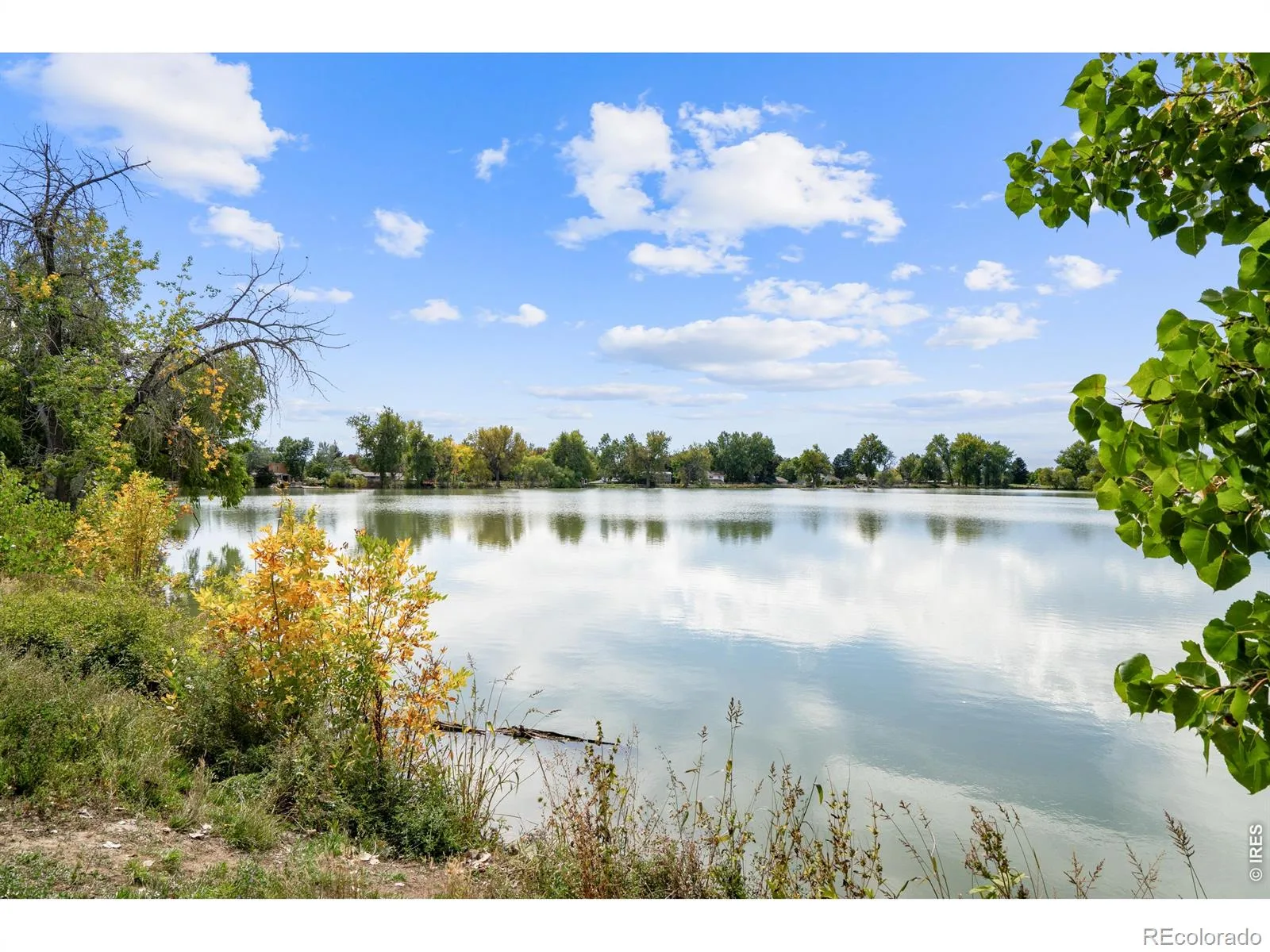 1331 Bellaire Street Broomfield CO 80020 MLS #RECIR1060389 05292026181929 1600 44