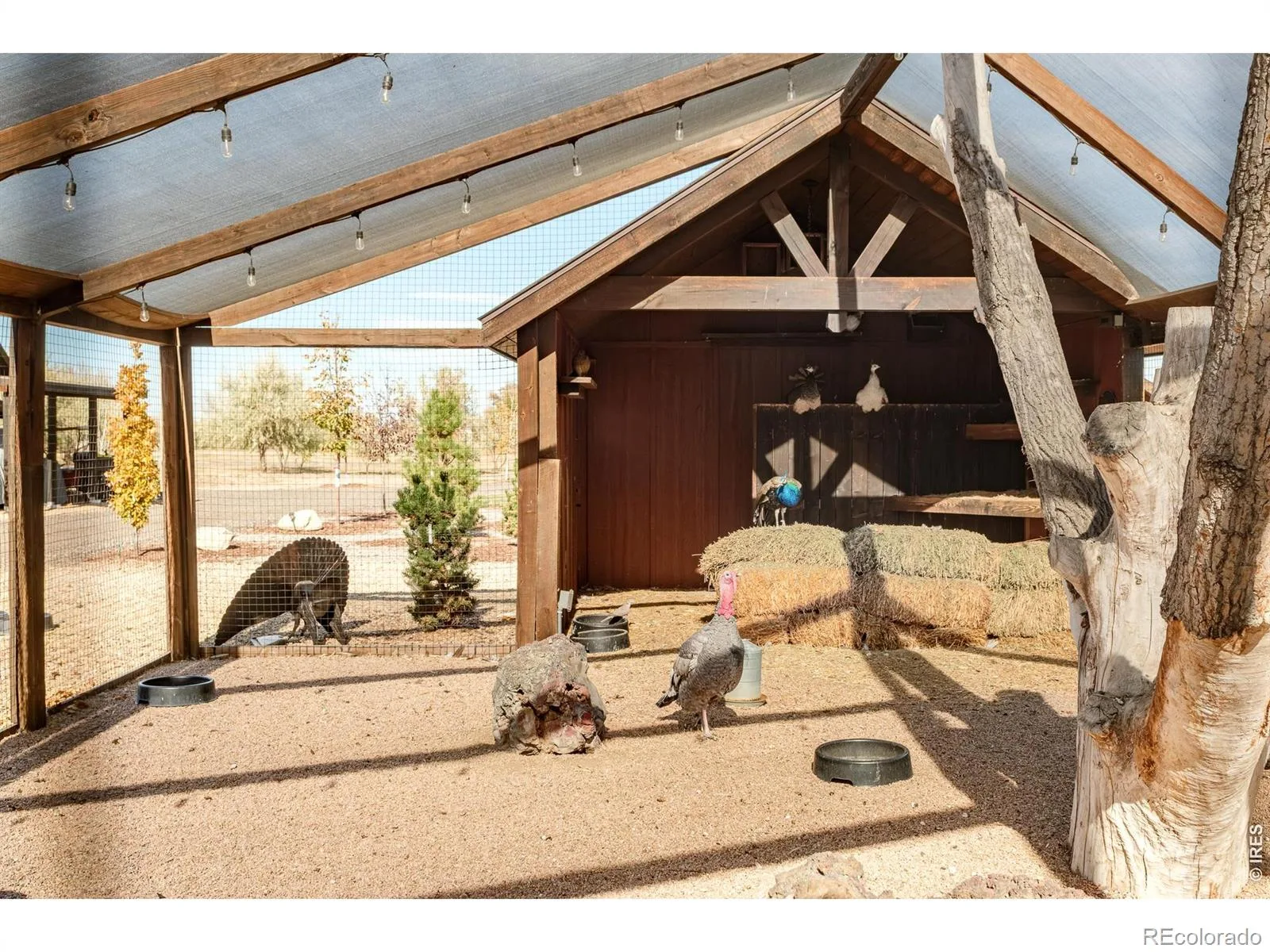 9816 County Road 7 Road Longmont CO 80504 | MLS #RECIR1060404 06032026163145 1600 43