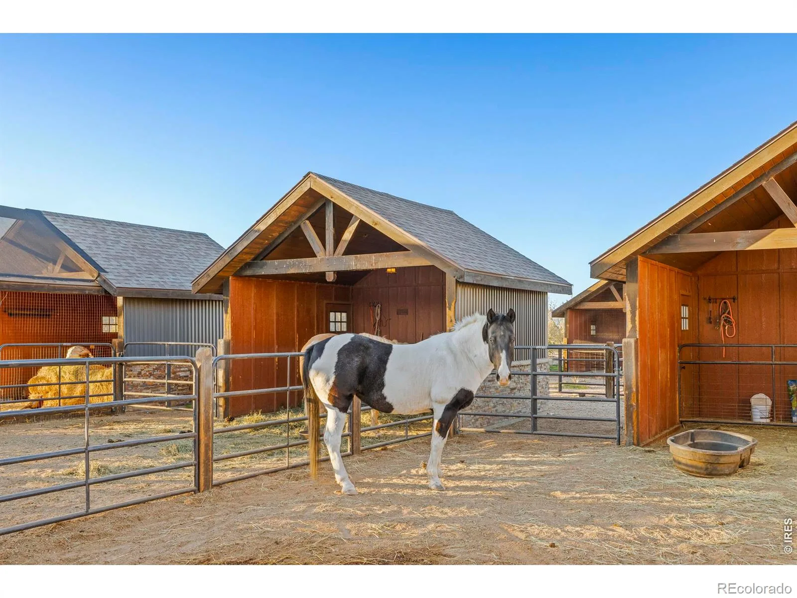 9816 County Road 7 Road Longmont CO 80504 | MLS #RECIR1060404 06032026163145 1600 44