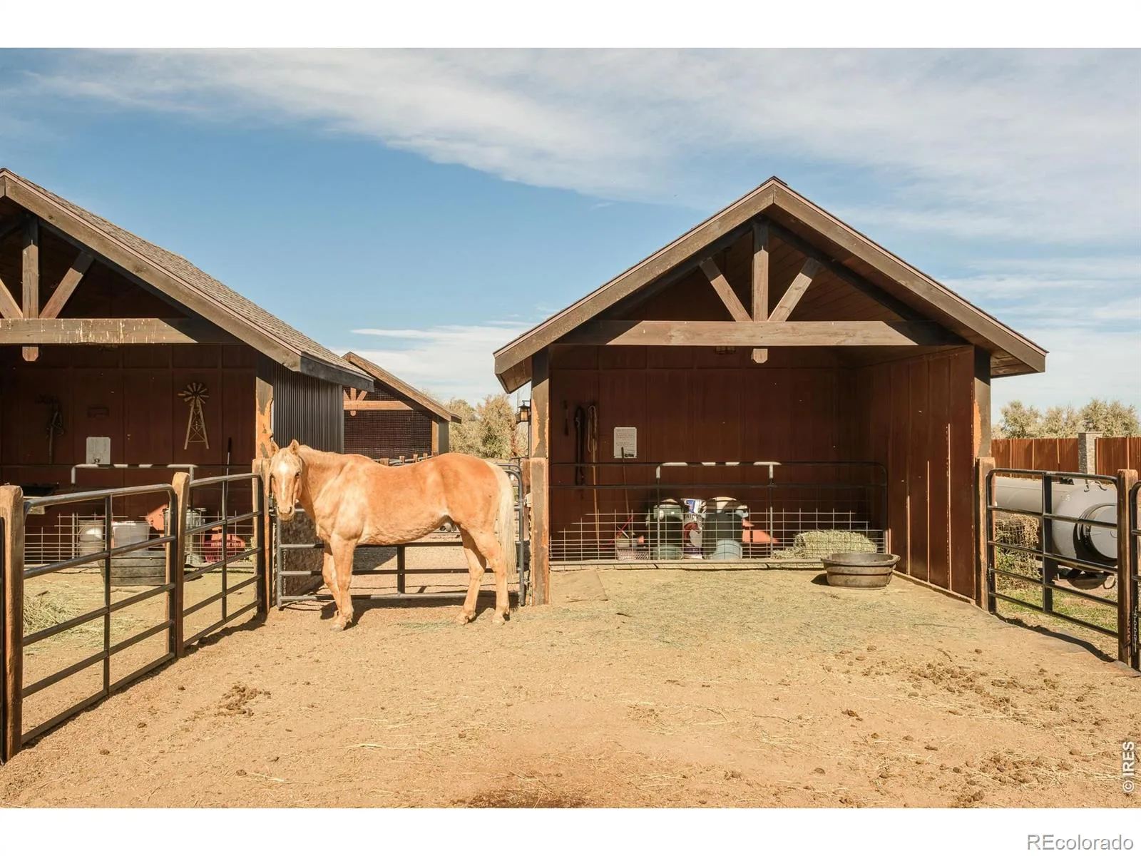 9816 County Road 7 Road Longmont CO 80504 | MLS #RECIR1060404 06032026163145 1600 46