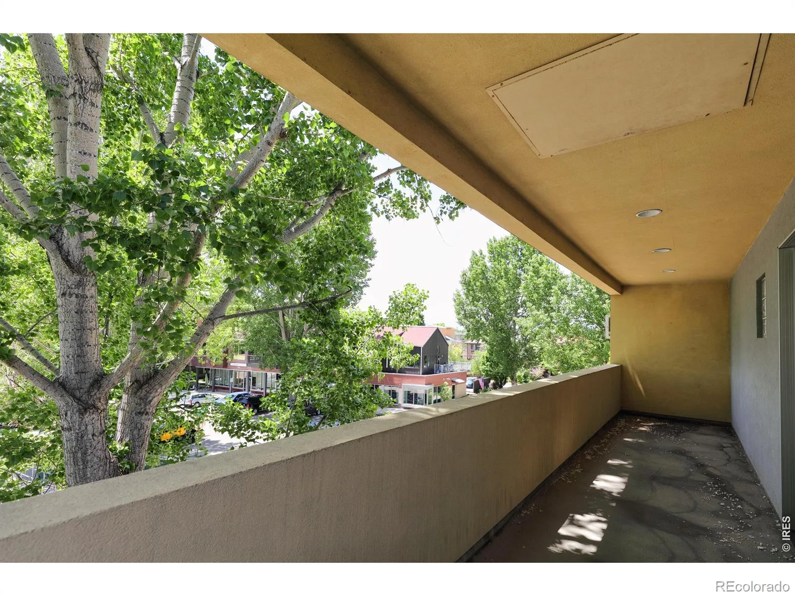 722 Tenacity Drive #A Longmont CO 80504 | MLS #RECIR1060678 08272026220859 1600 12