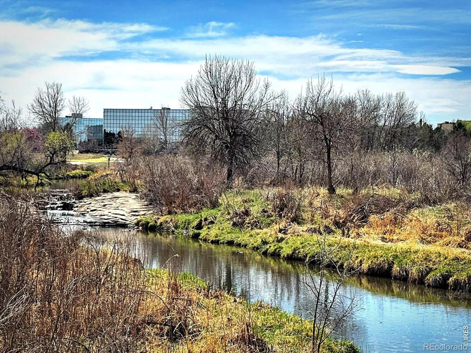 3121 S Tamarac Drive #208 #H Denver CO 80231 MLS #RECIR1060774 06102026180602 1600 41