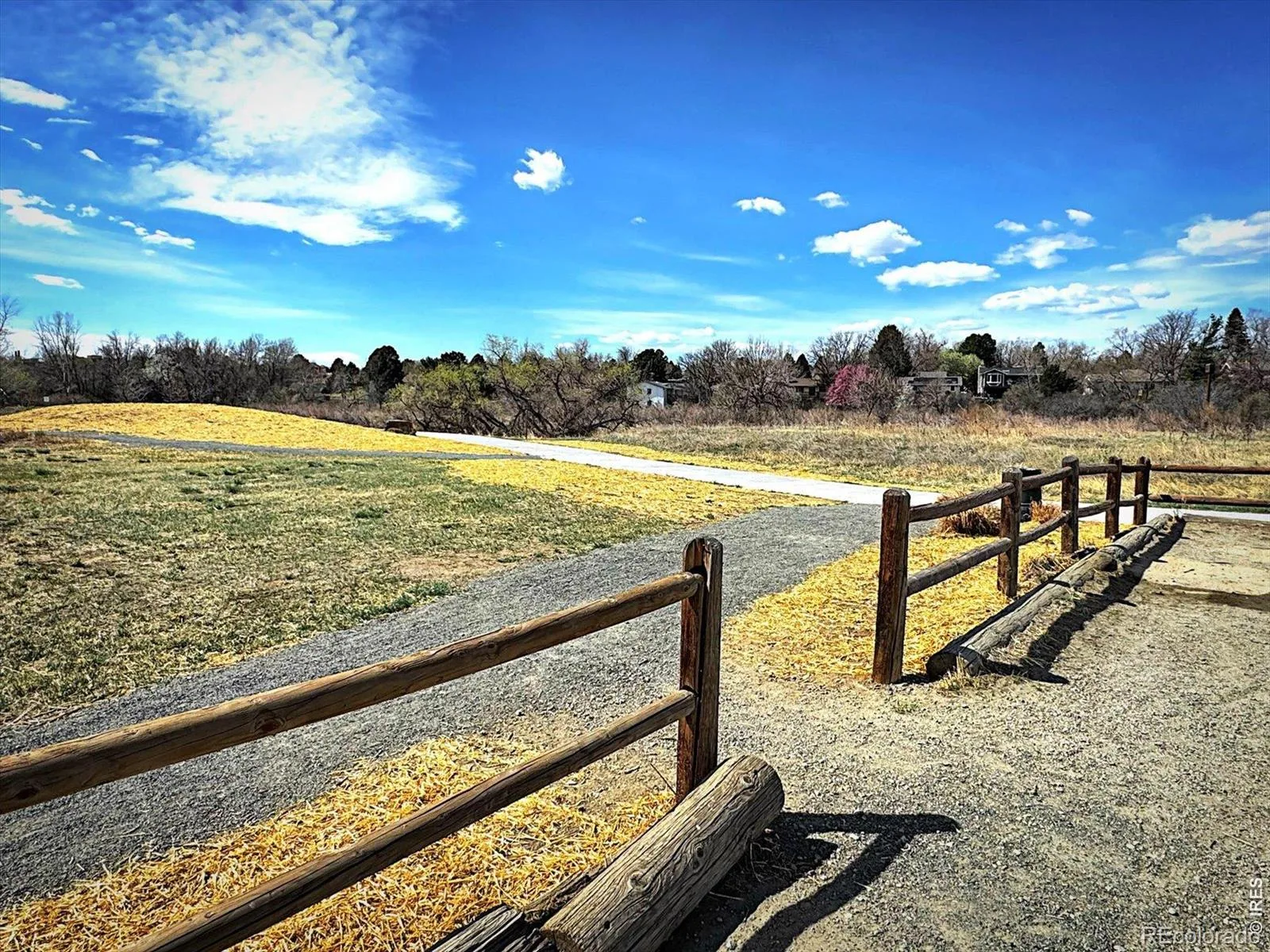 3121 S Tamarac Drive #208 #H Denver CO 80231 MLS #RECIR1060774 06102026180602 1600 43